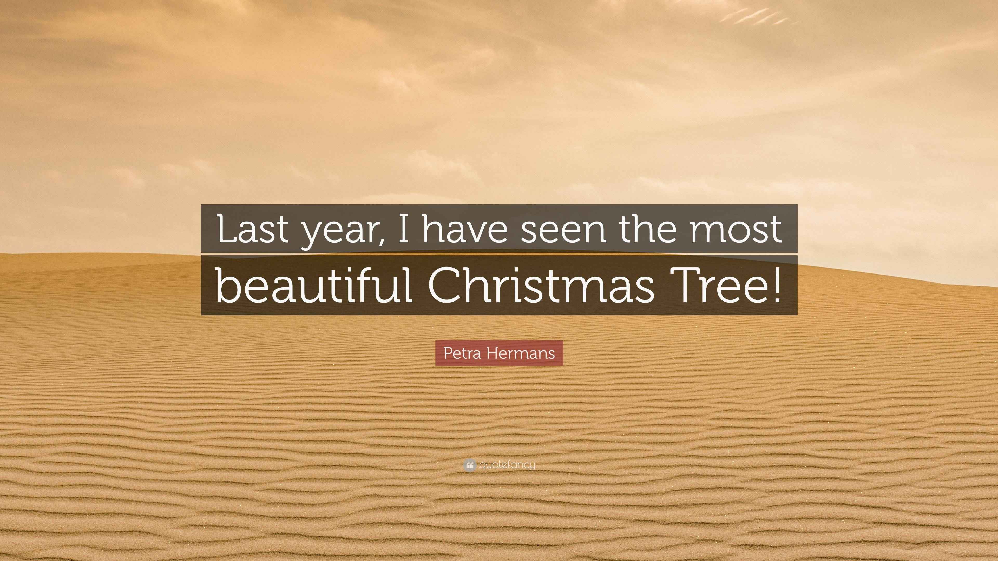Petra Hermans Quote “Last year, I have seen the most beautiful