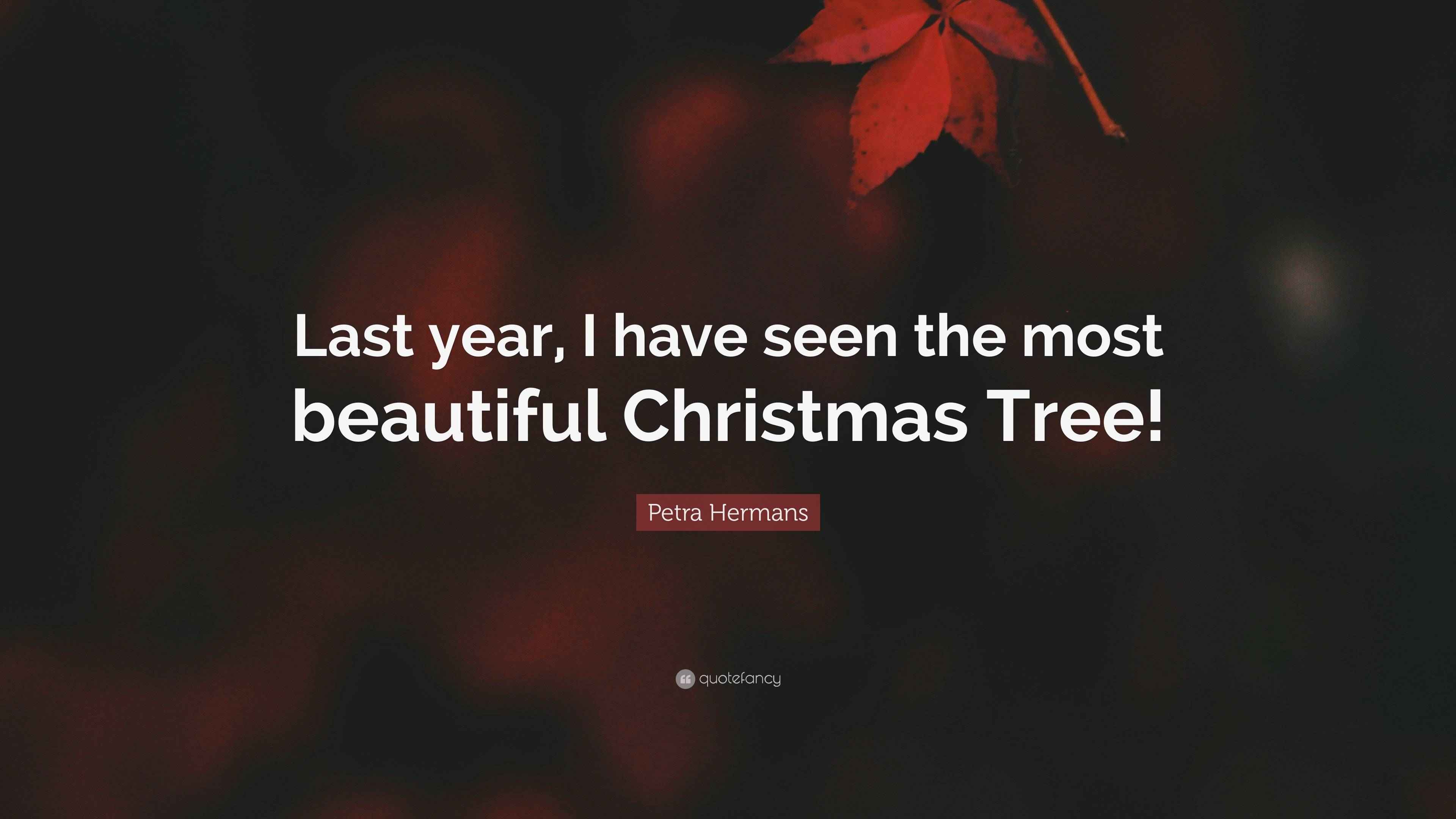 Petra Hermans Quote “Last year, I have seen the most beautiful