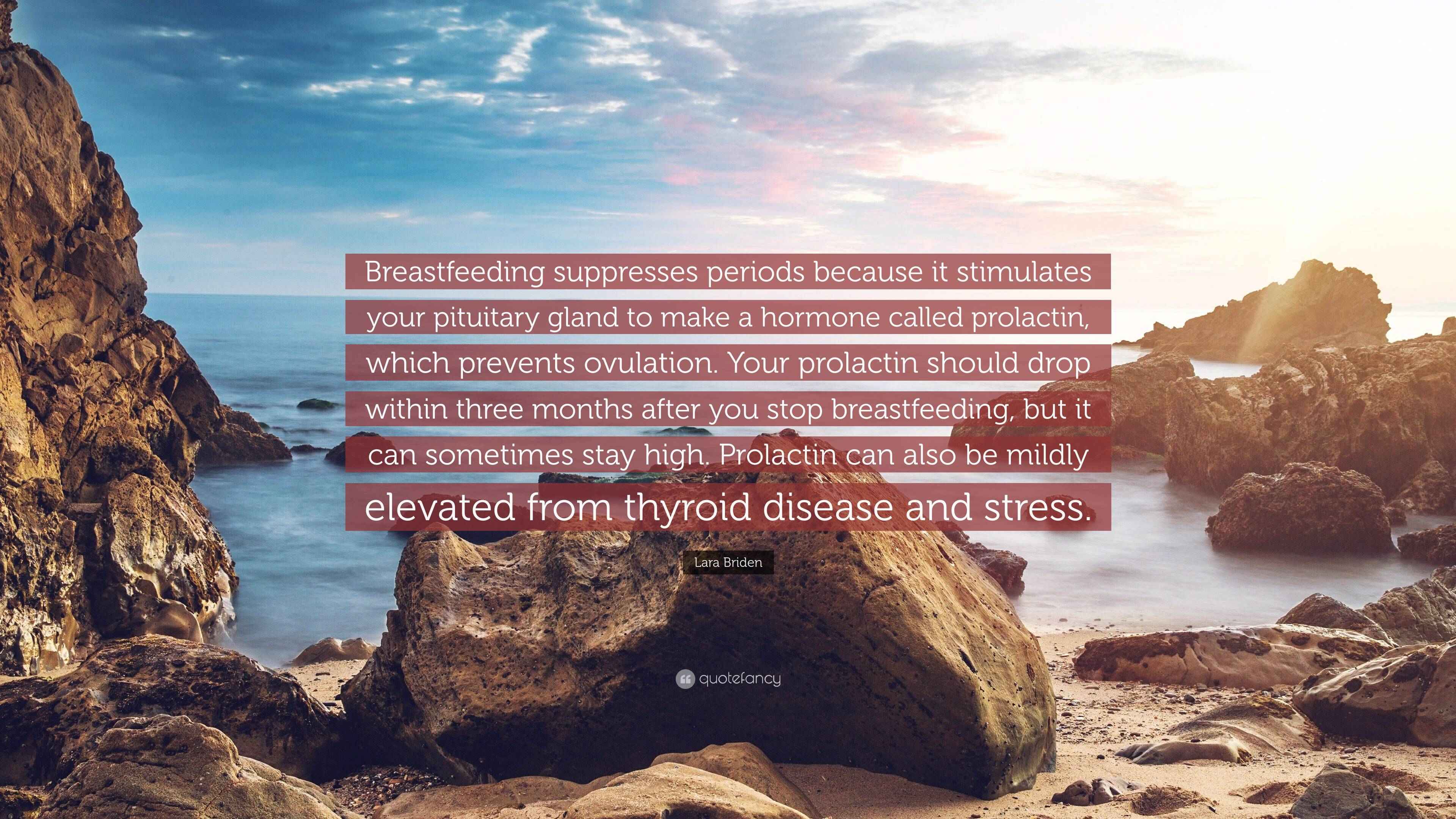 Lara Briden Quote “Breastfeeding suppresses periods because it