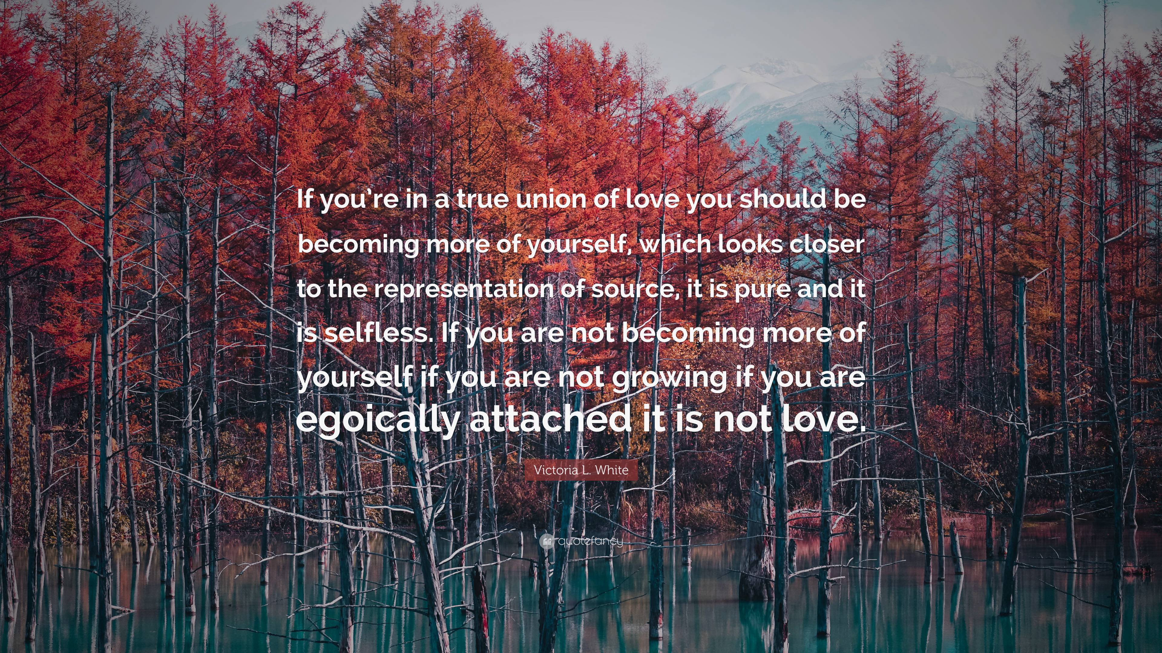 Victoria L. White Quote: “If you’re in a true union of love you should ...