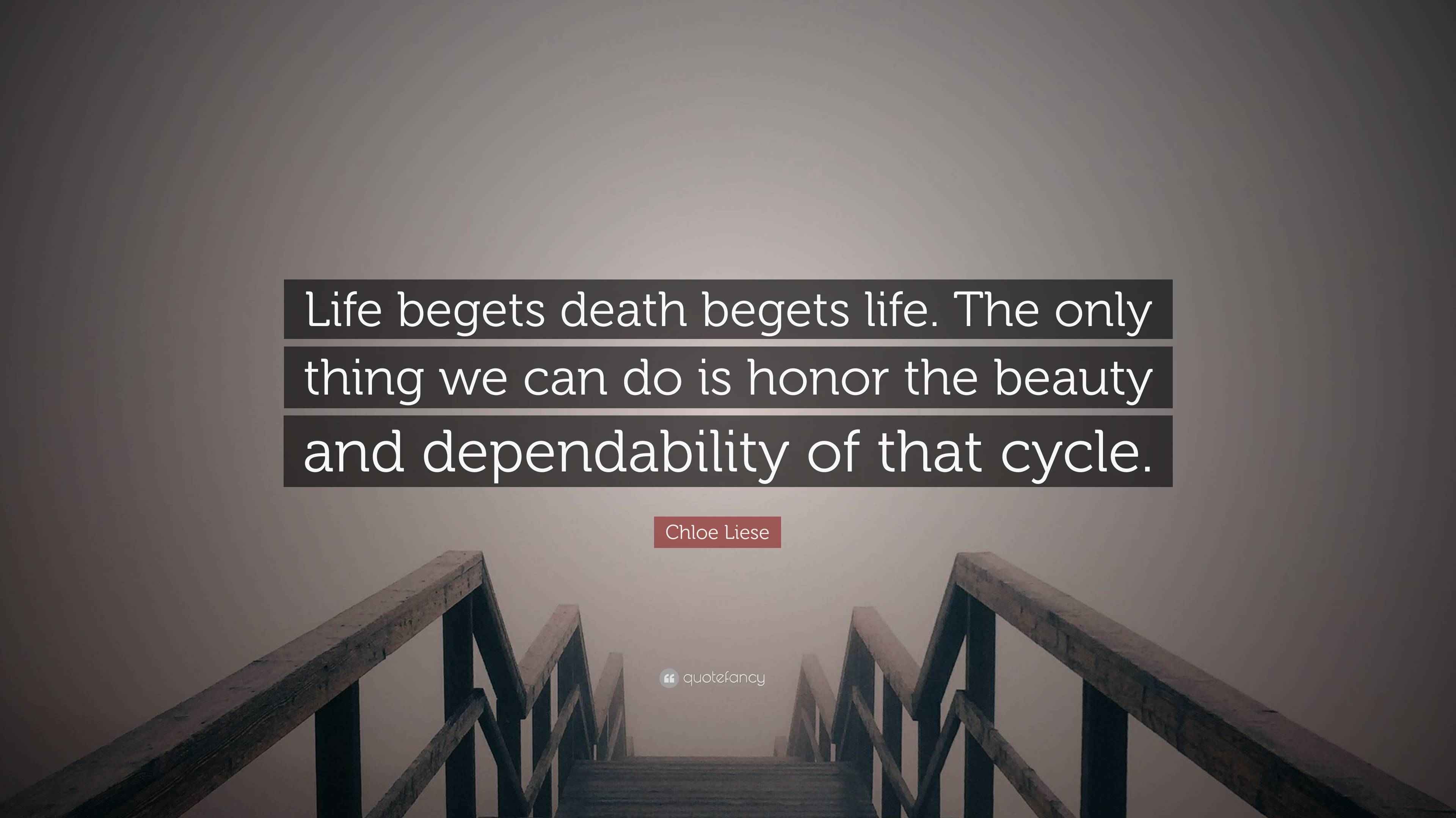 Chloe Liese Quote “Life begets death begets life. The only thing we