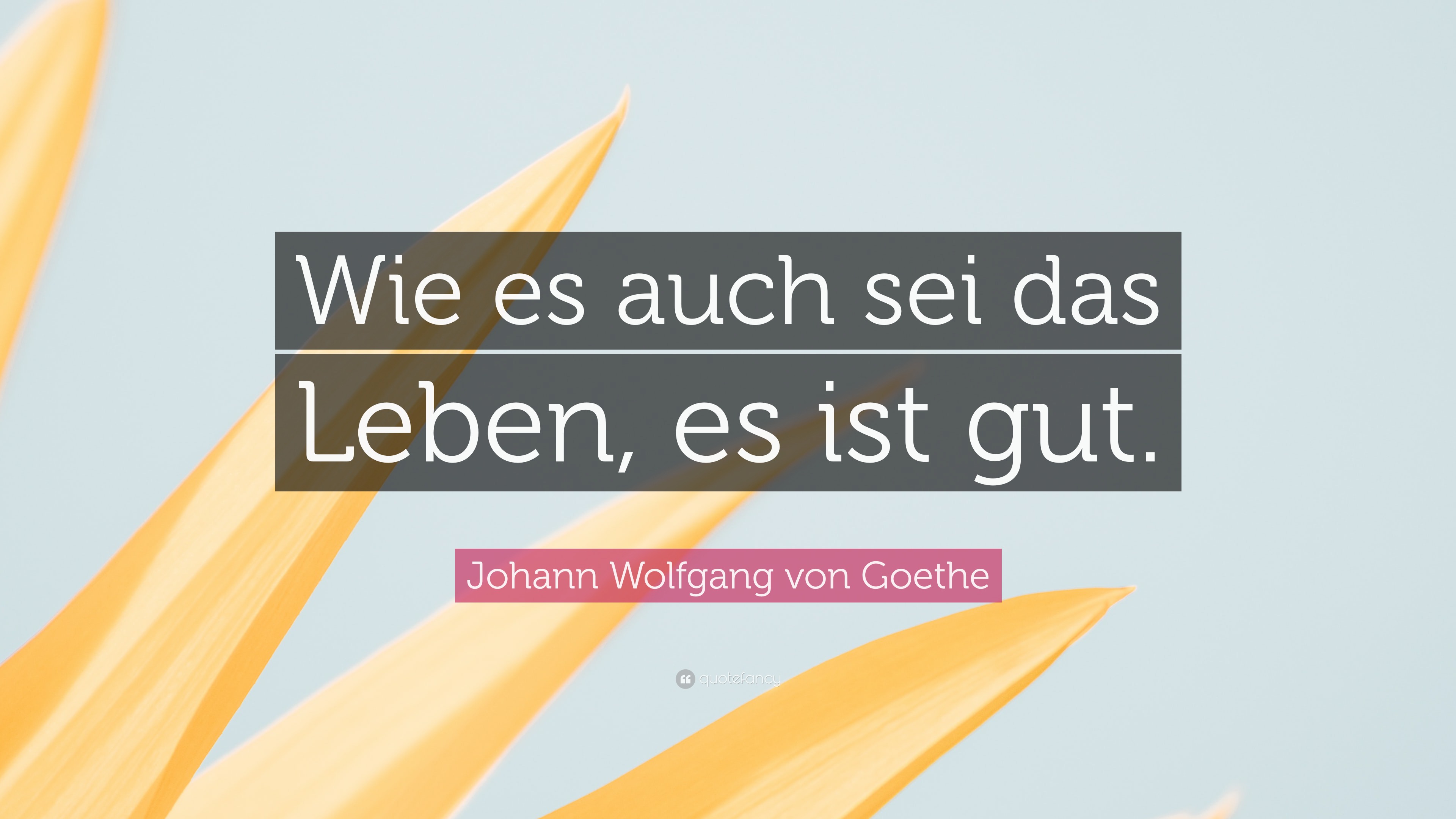 Das Leben Ist Wie Es Ist