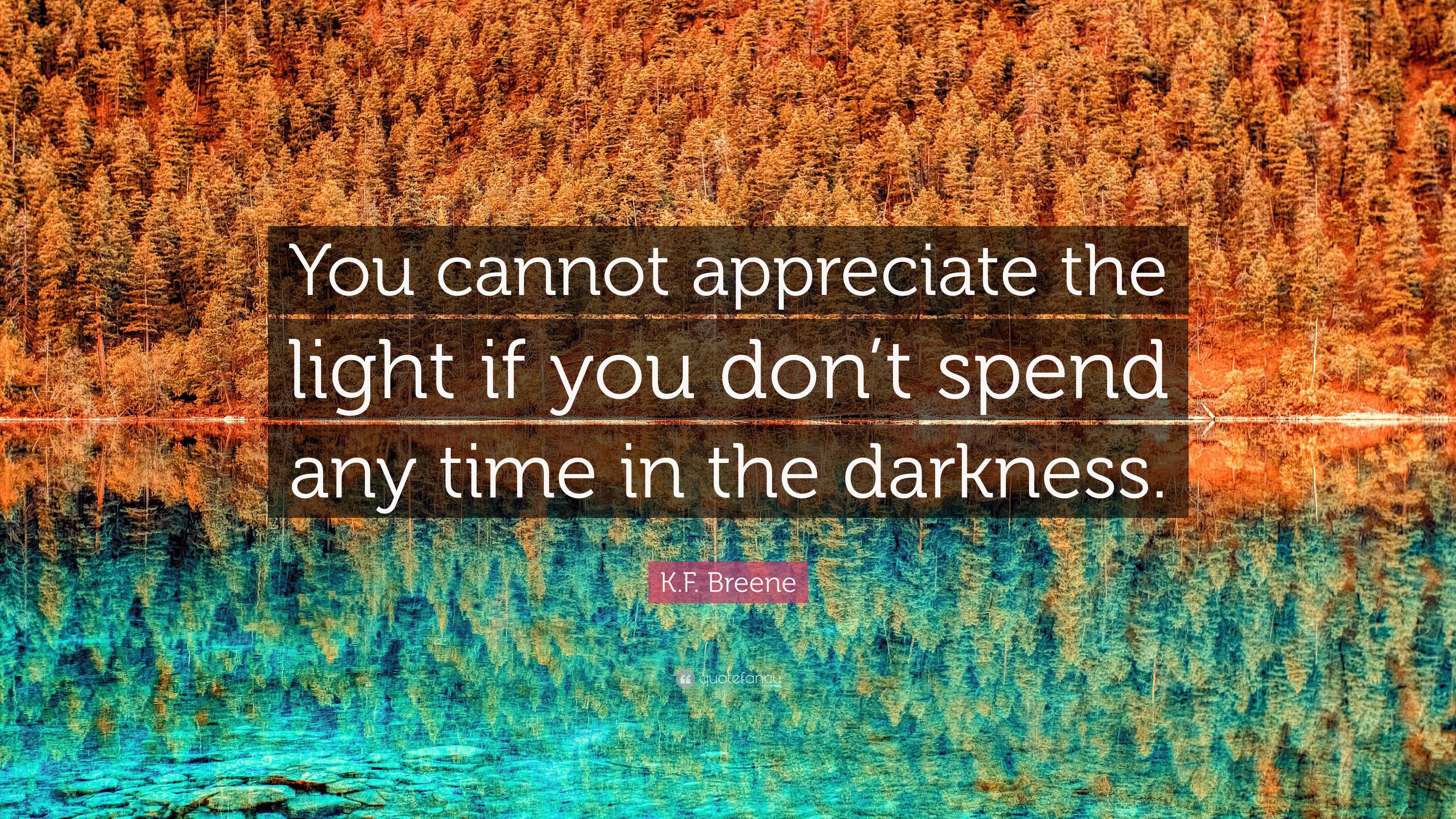 K.F. Breene Quote: “You cannot appreciate the light if you don’t spend ...