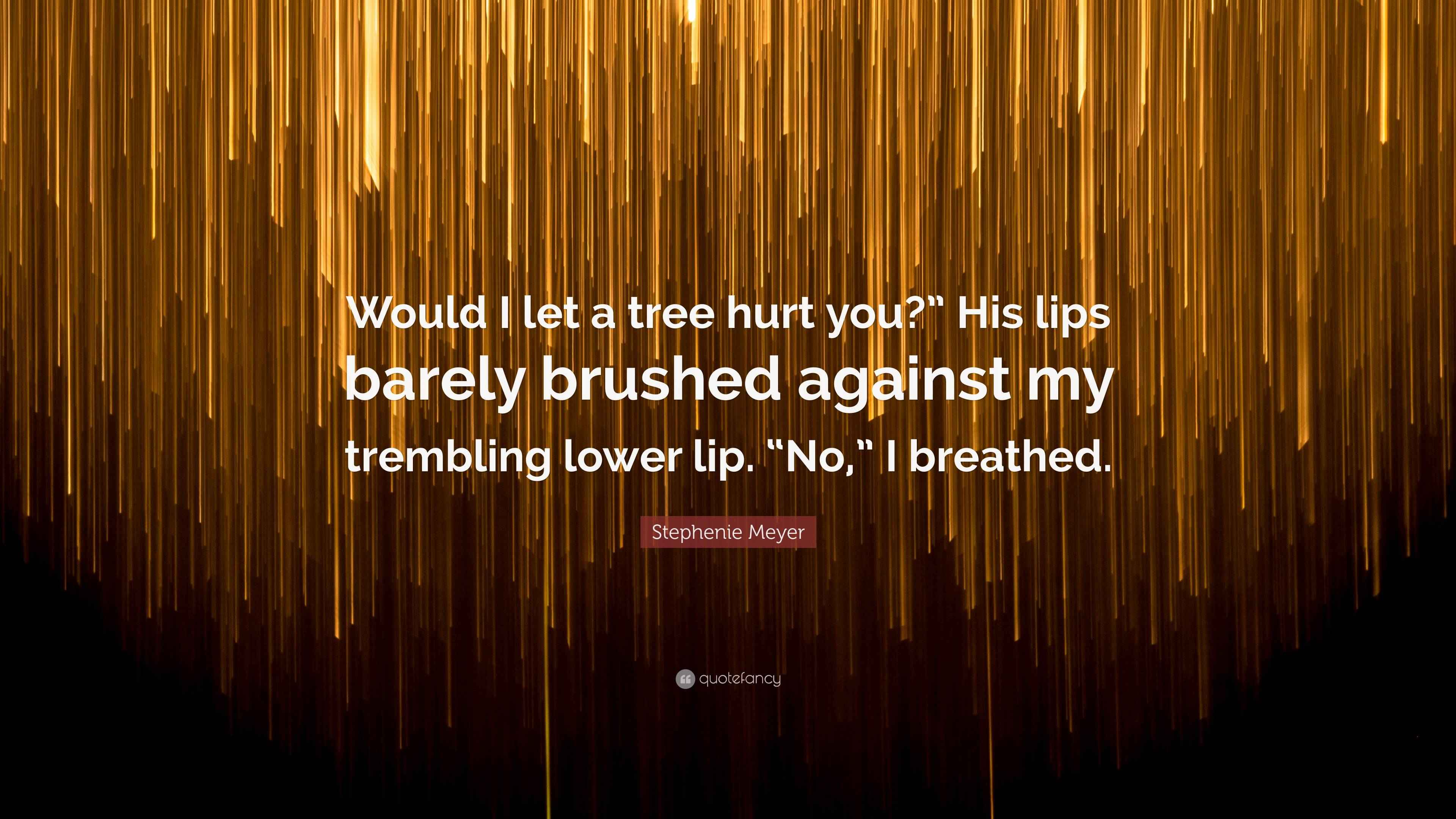 Stephenie Meyer Quote “Would I let a tree hurt you?” His lips barely
