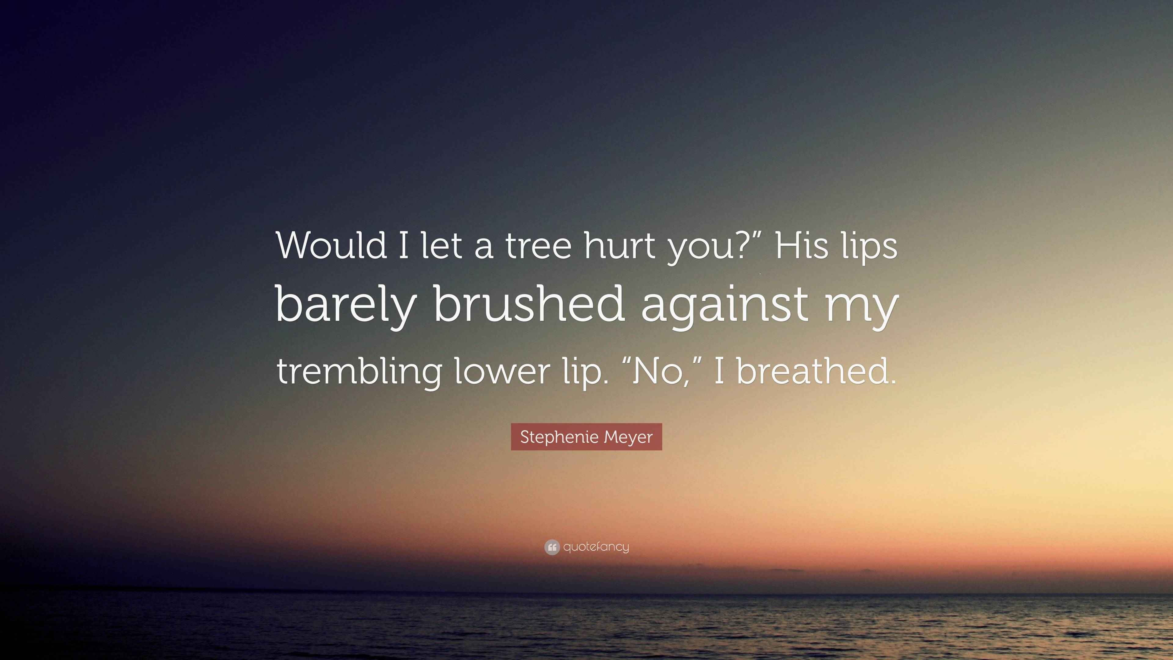 Stephenie Meyer Quote “Would I let a tree hurt you?” His lips barely