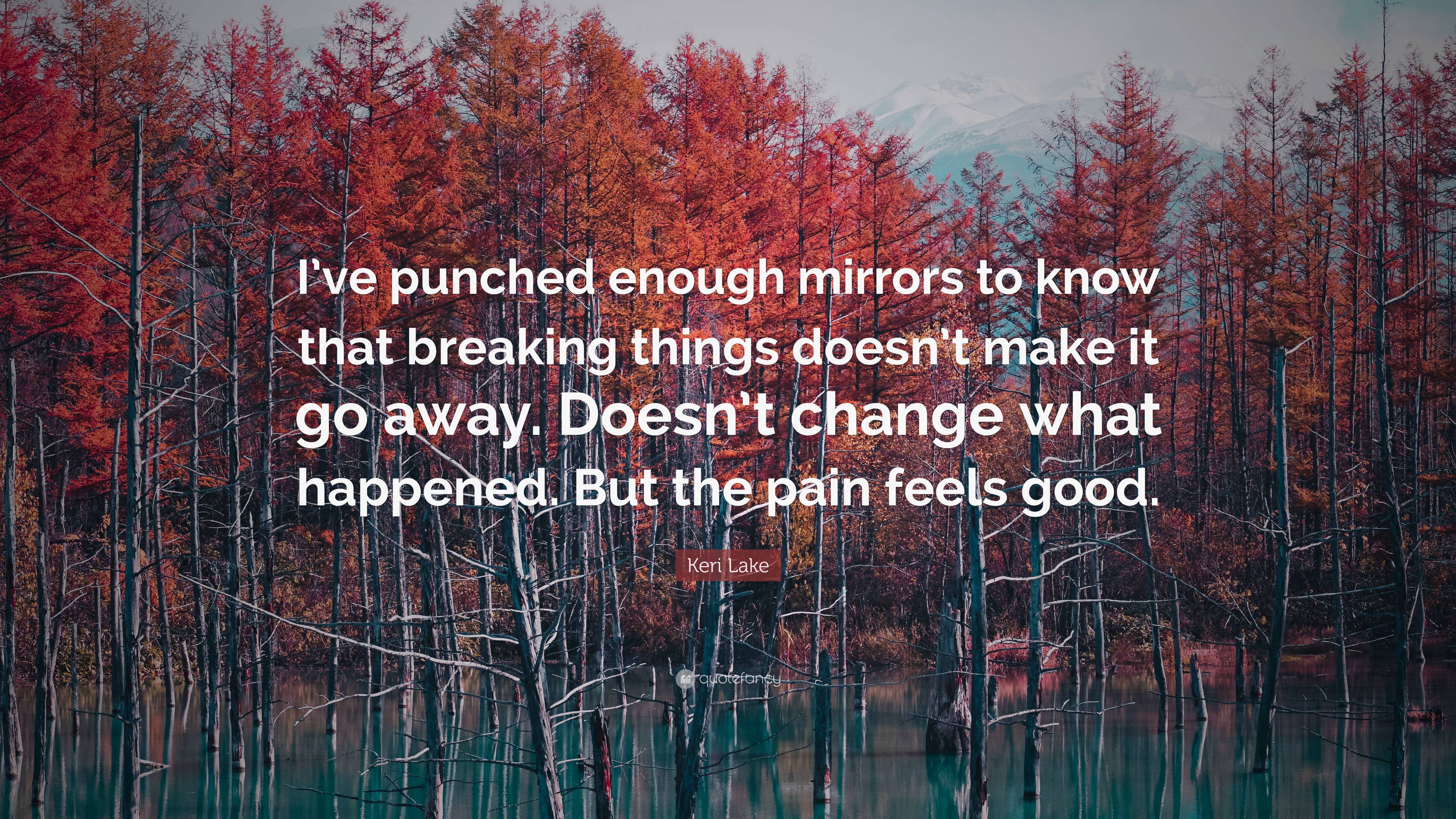 Keri Lake Quote: “I’ve punched enough mirrors to know that breaking ...