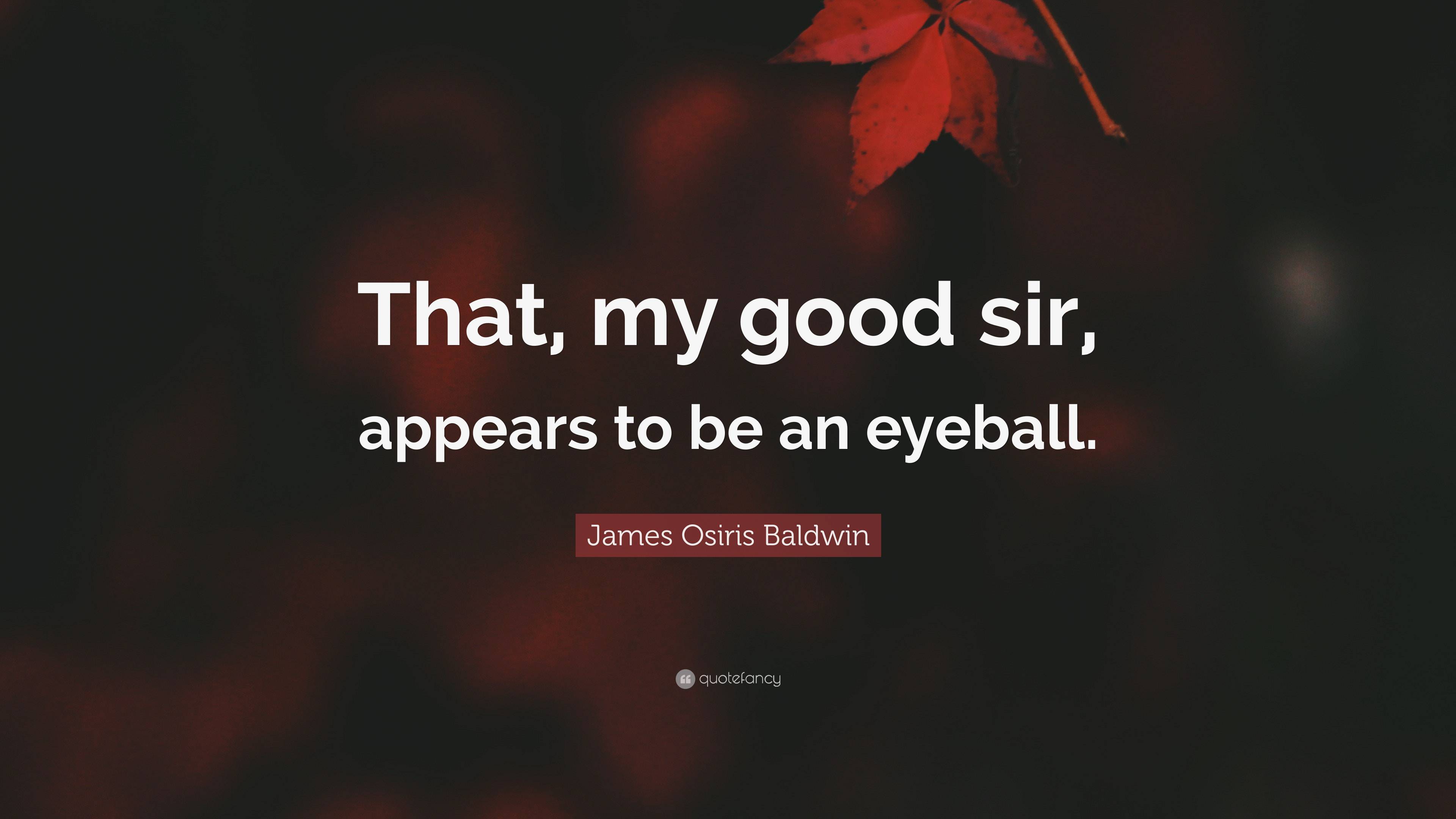 James Osiris Baldwin Quote: “That, my good sir, appears to be an eyeball.”