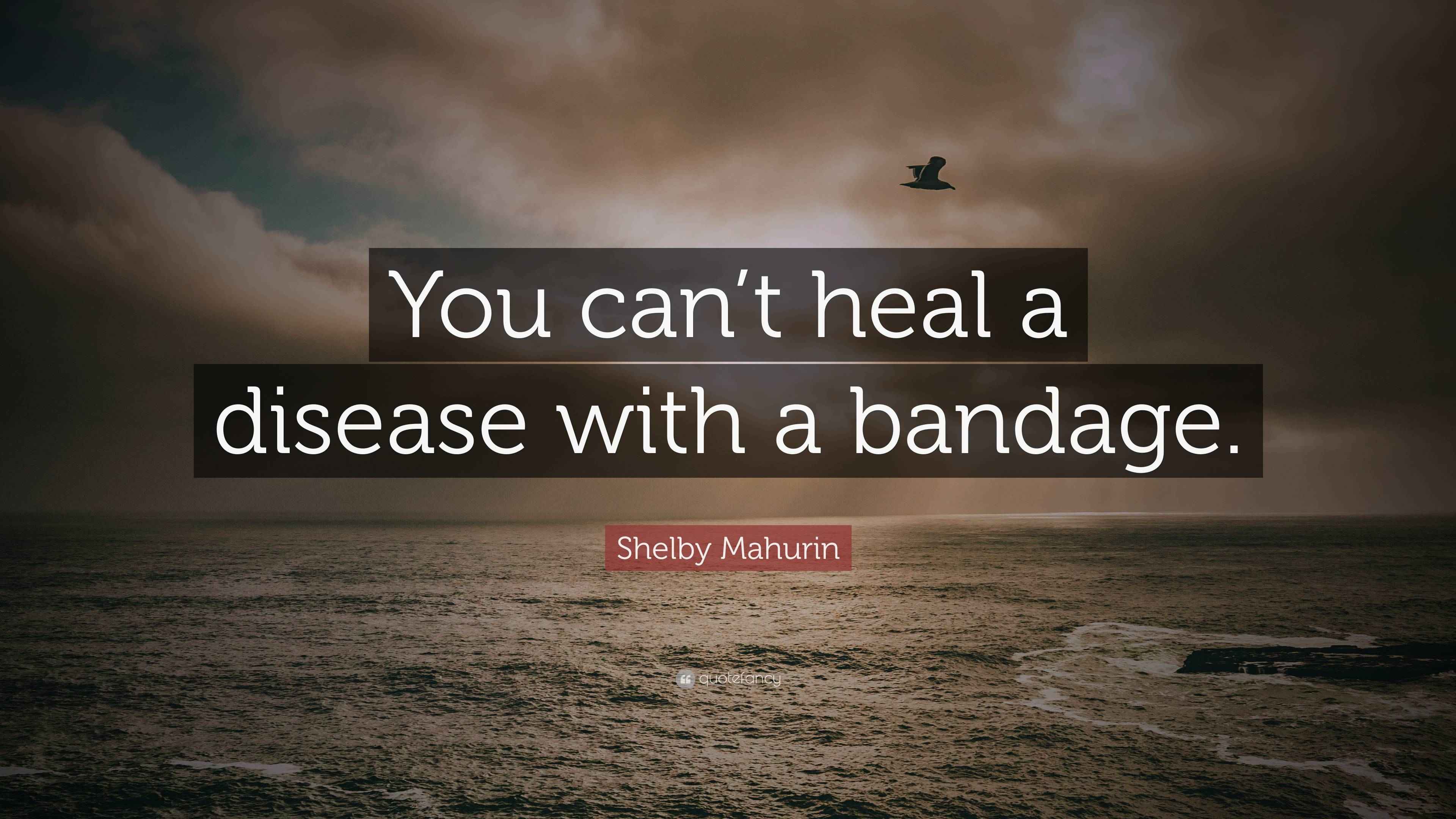 Shelby Mahurin Quote “You can’t heal a disease with a bandage.”