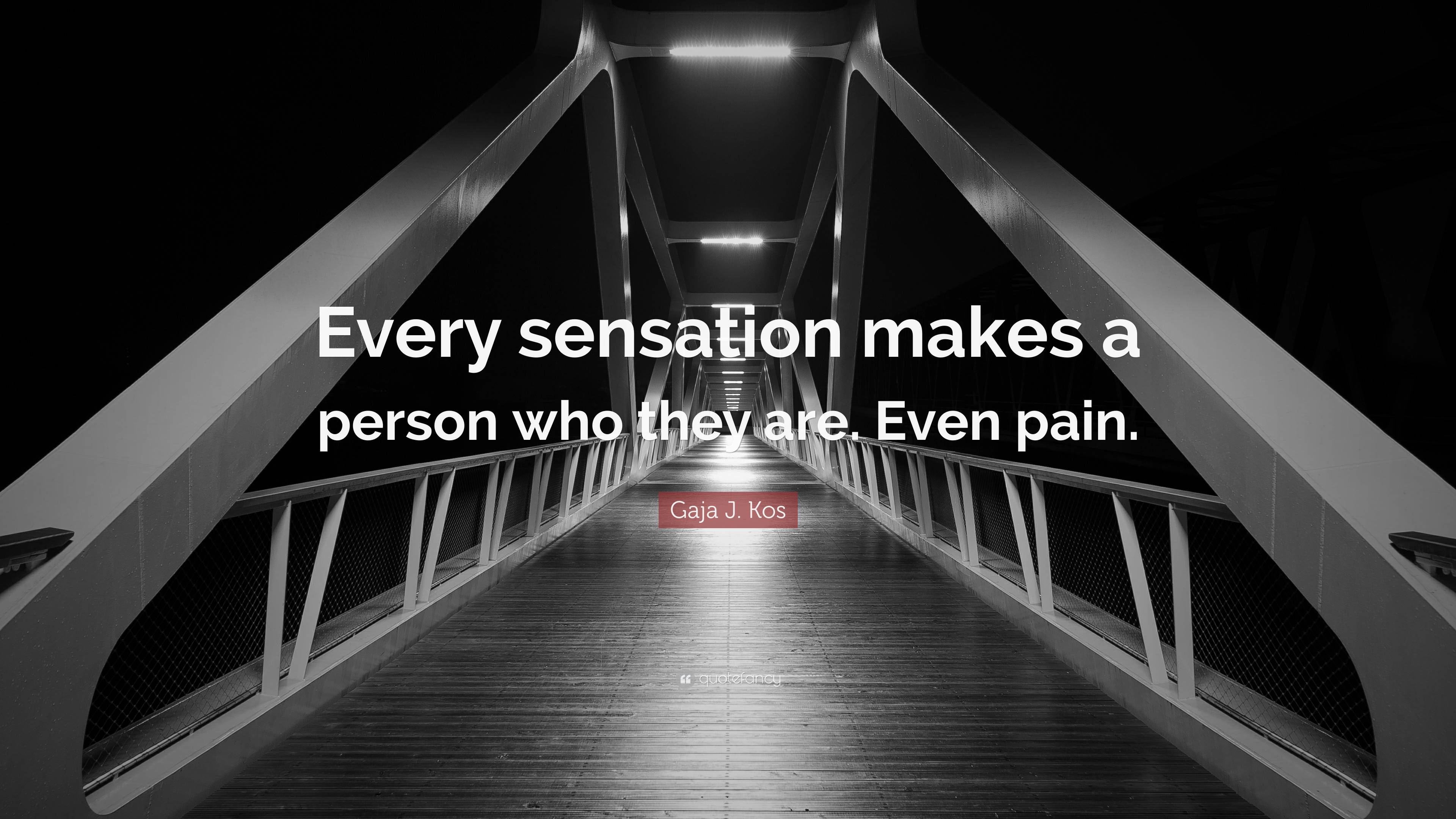 Gaja J. Kos Quote: “Every sensation makes a person who they are. Even pain.”