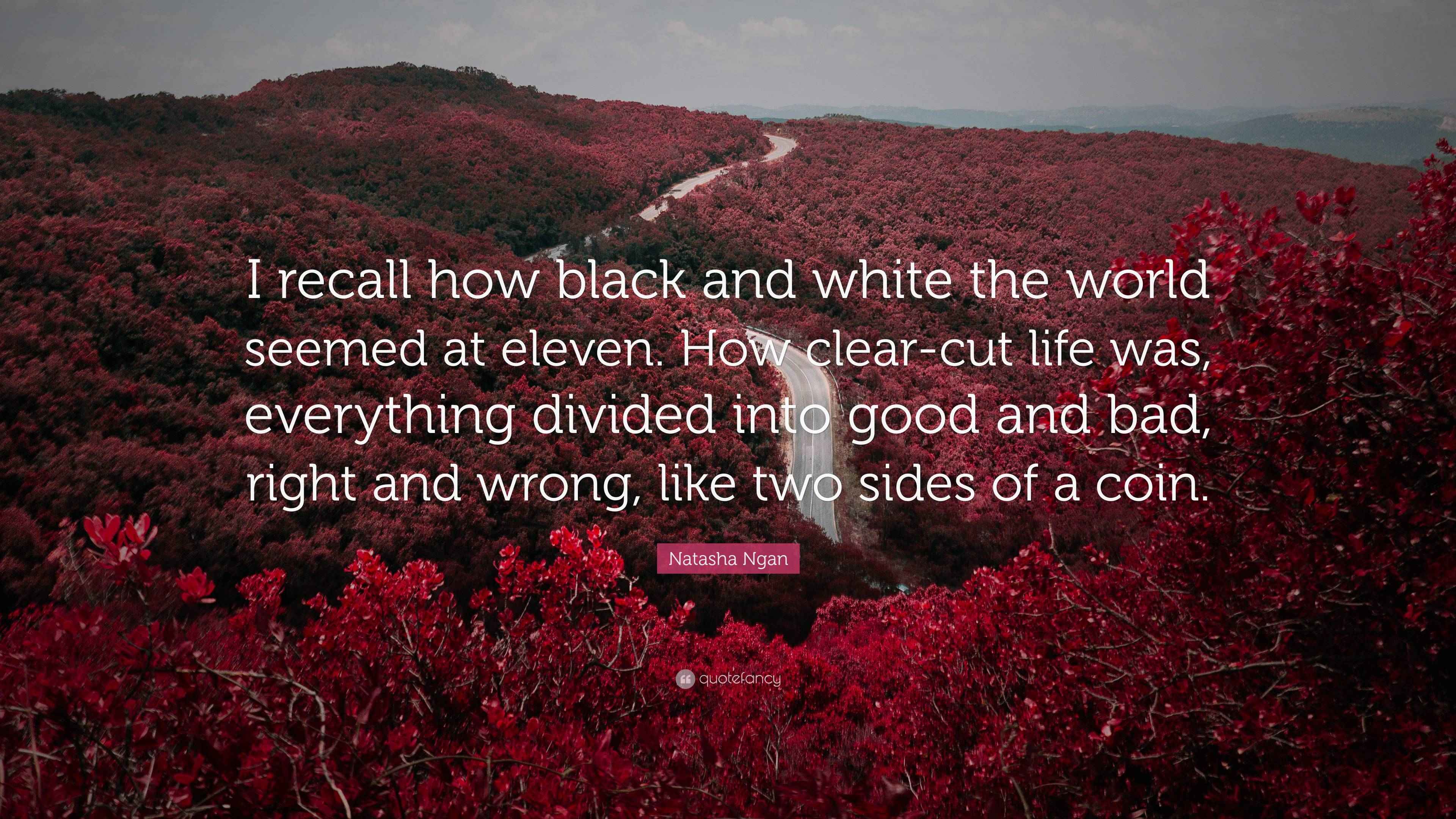 Natasha Ngan Quote: “I recall how black and white the world seemed at ...