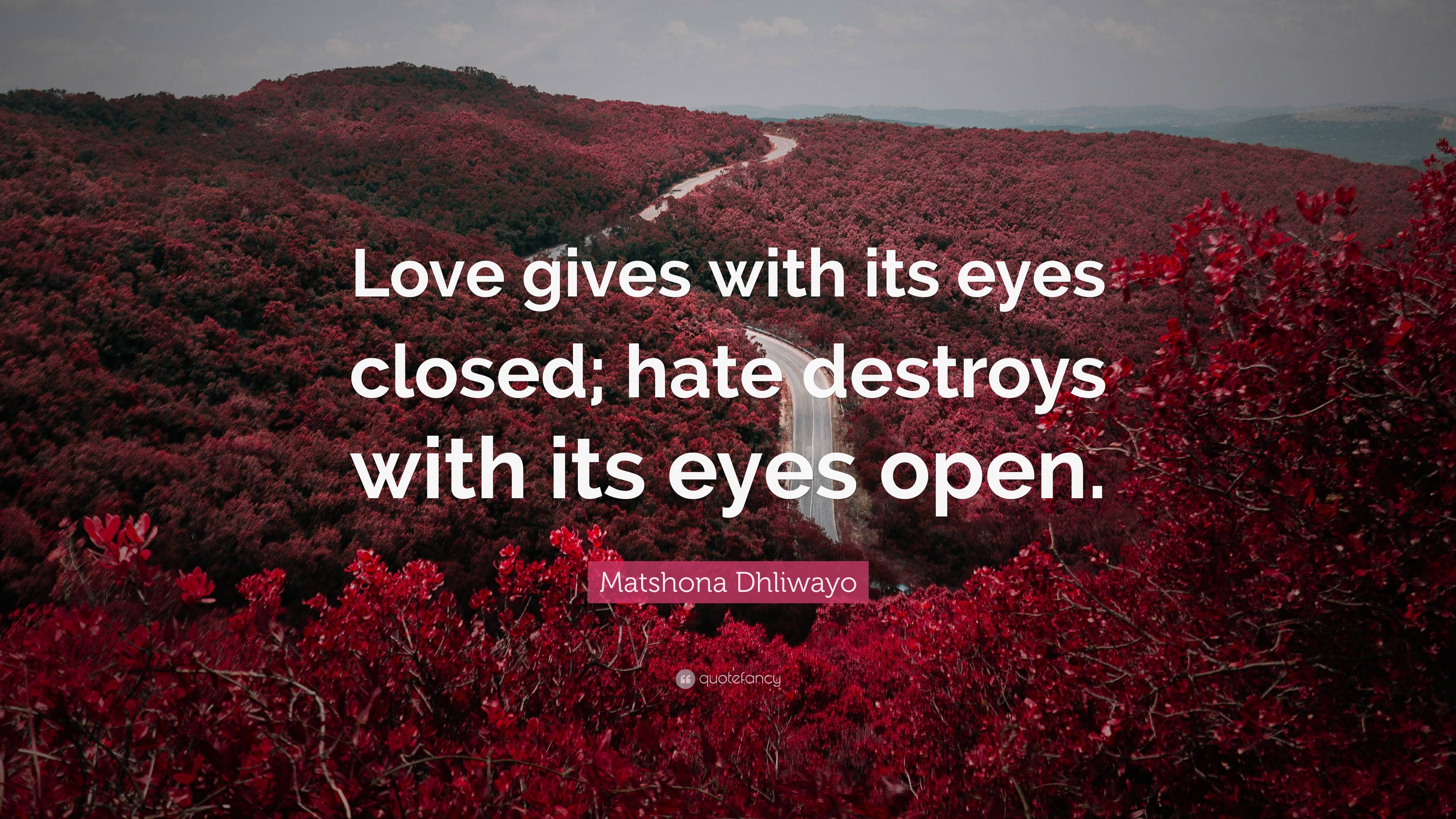 Matshona Dhliwayo Quote: “Love gives with its eyes closed; hate ...