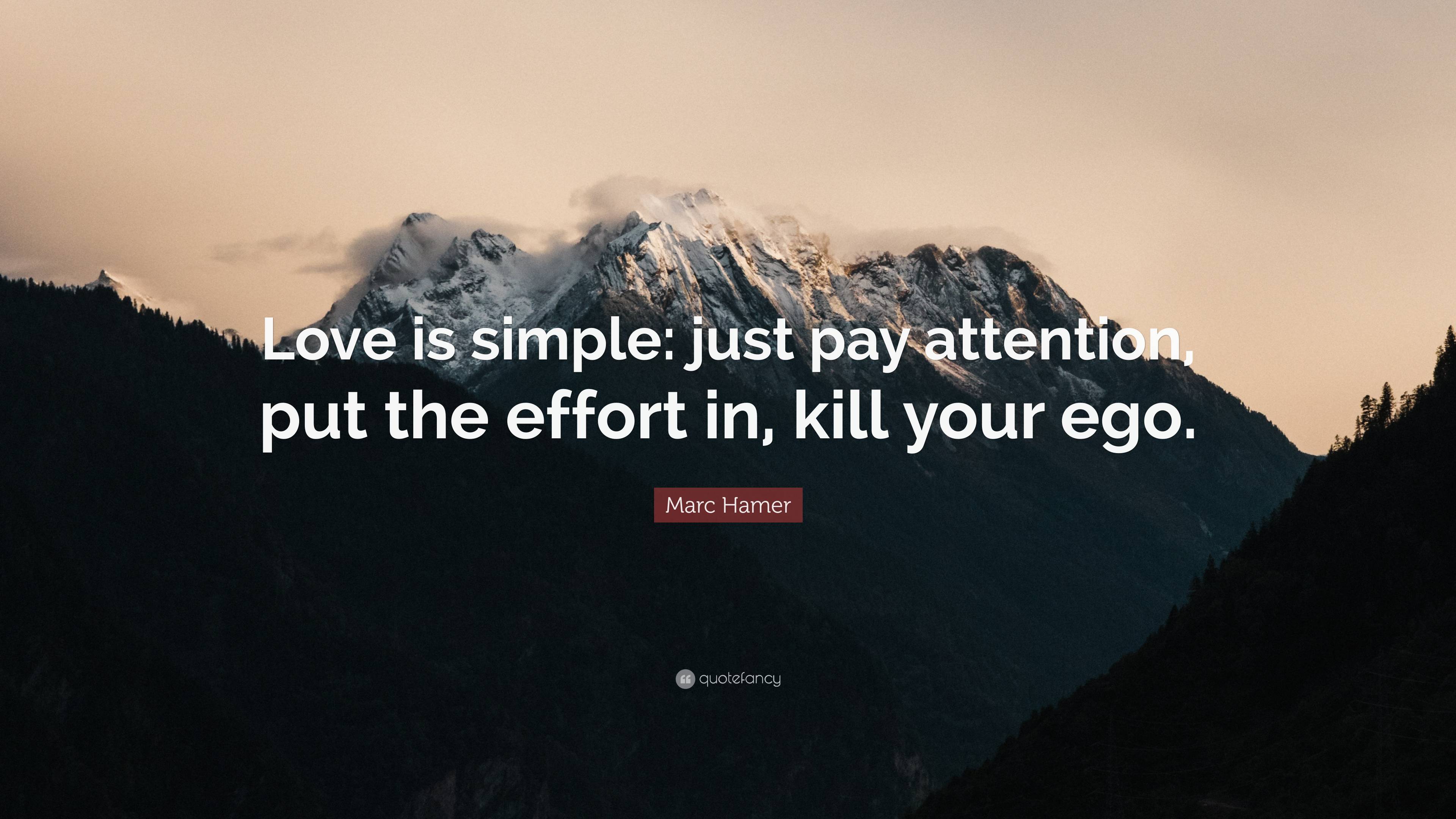 Marc Hamer Quote: “Love is simple: just pay attention, put the effort ...