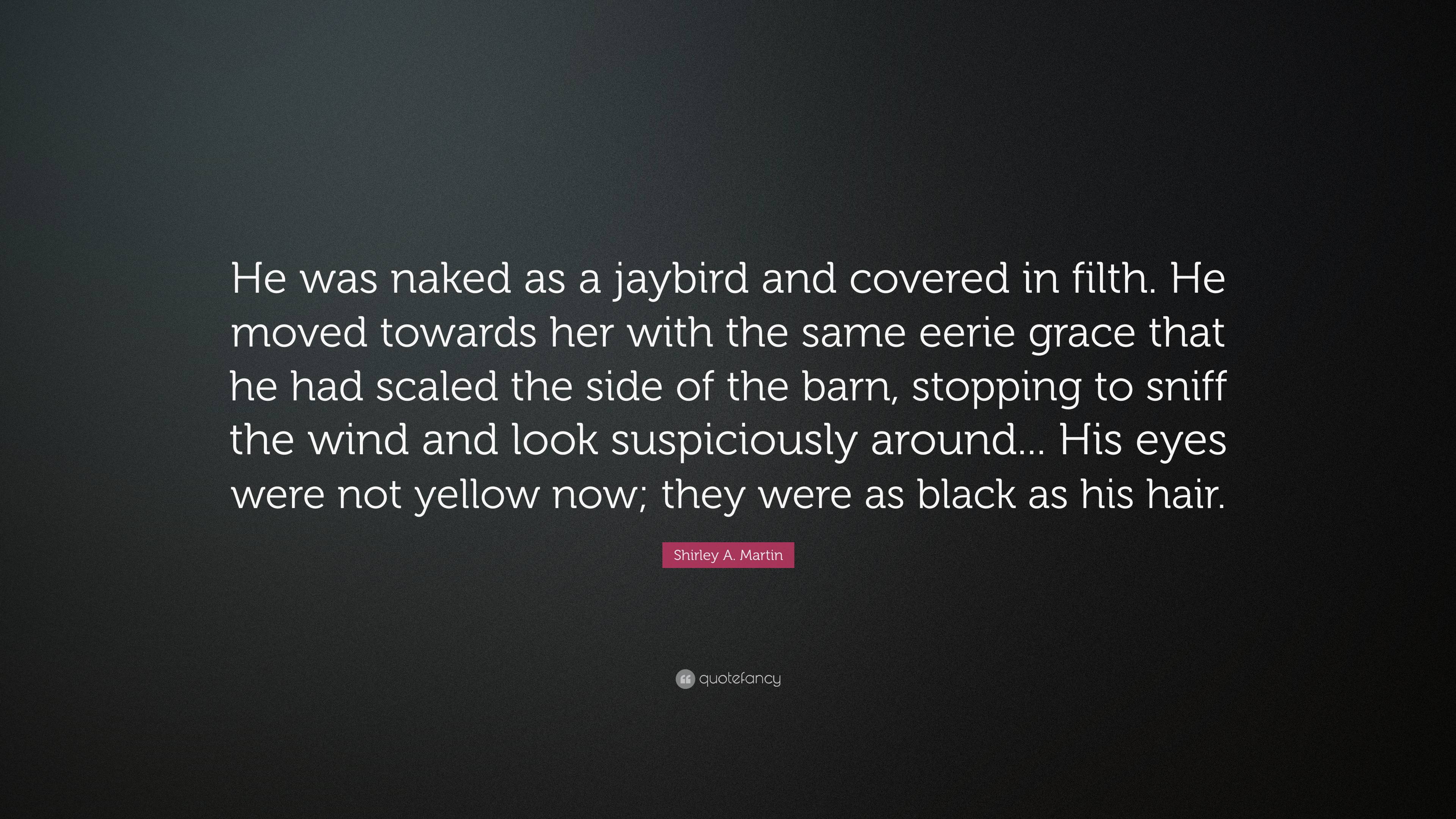 Shirley A. Martin Quote: “He was naked as a jaybird and covered in filth.  He moved towards her with the same eerie grace that he had scaled the si...”