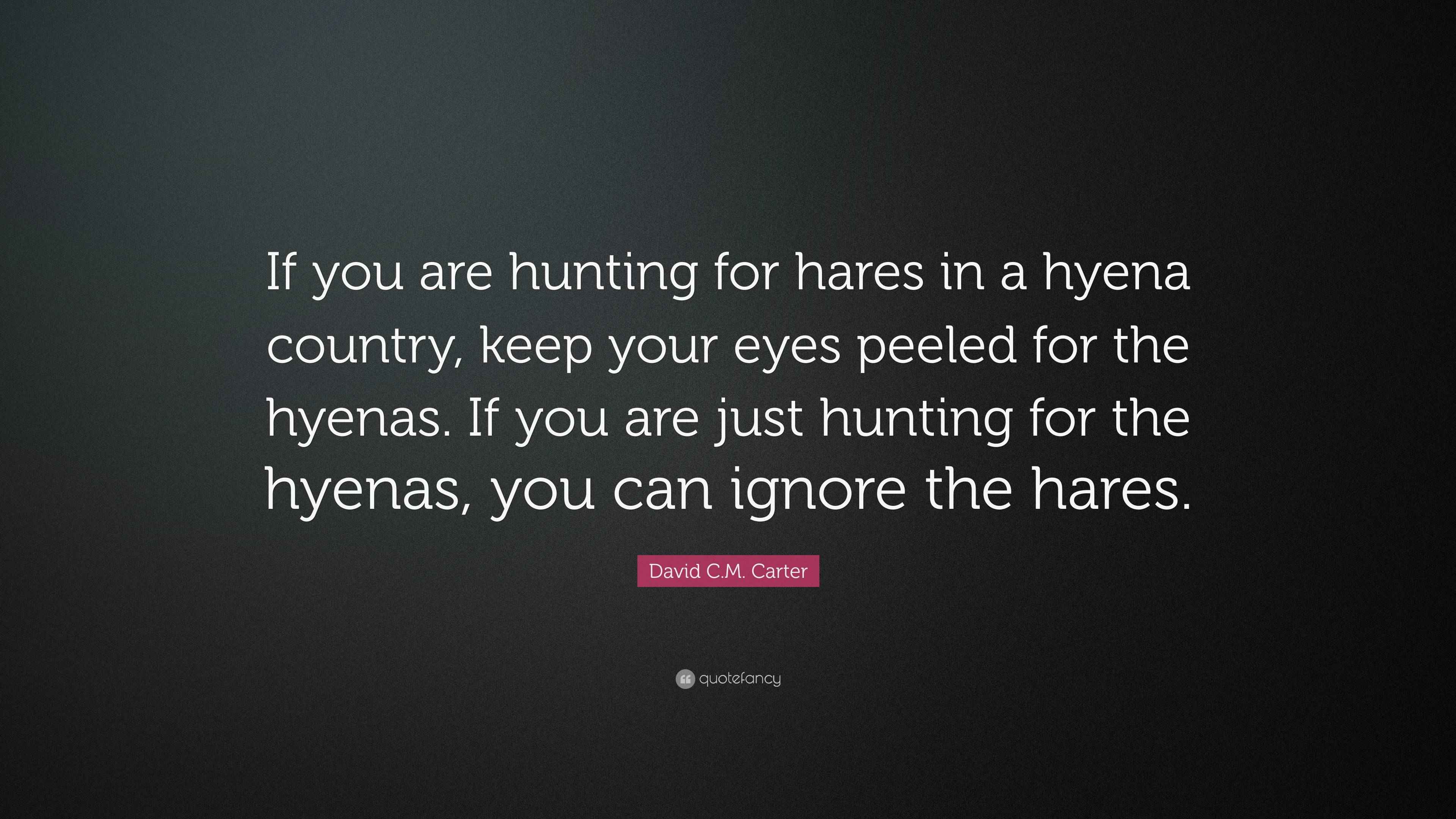 David C.M. Carter Quote “If you are hunting for hares in a hyena