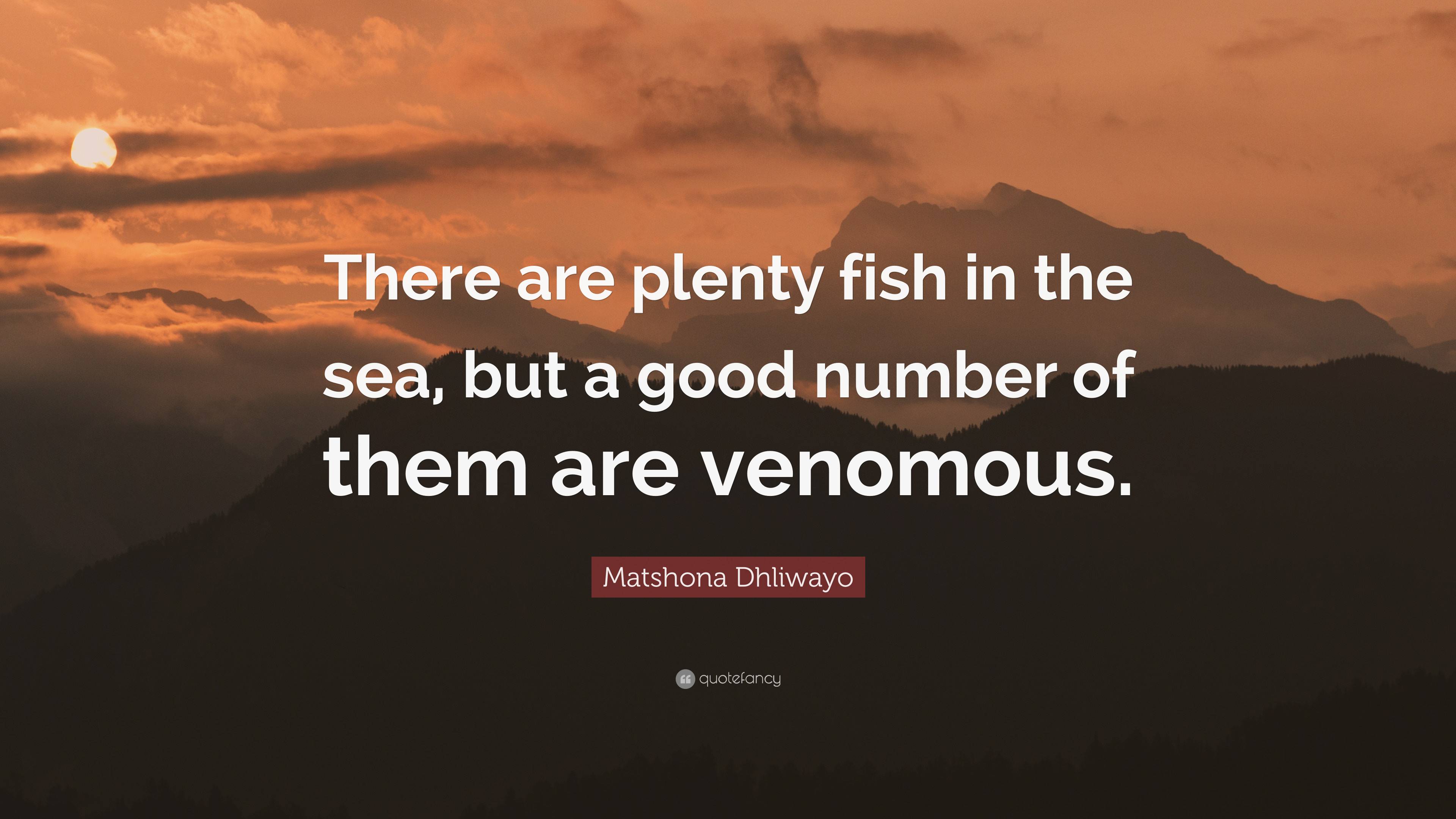 Matshona Dhliwayo Quote: “There Are Plenty Fish In The Sea, But A Good ...