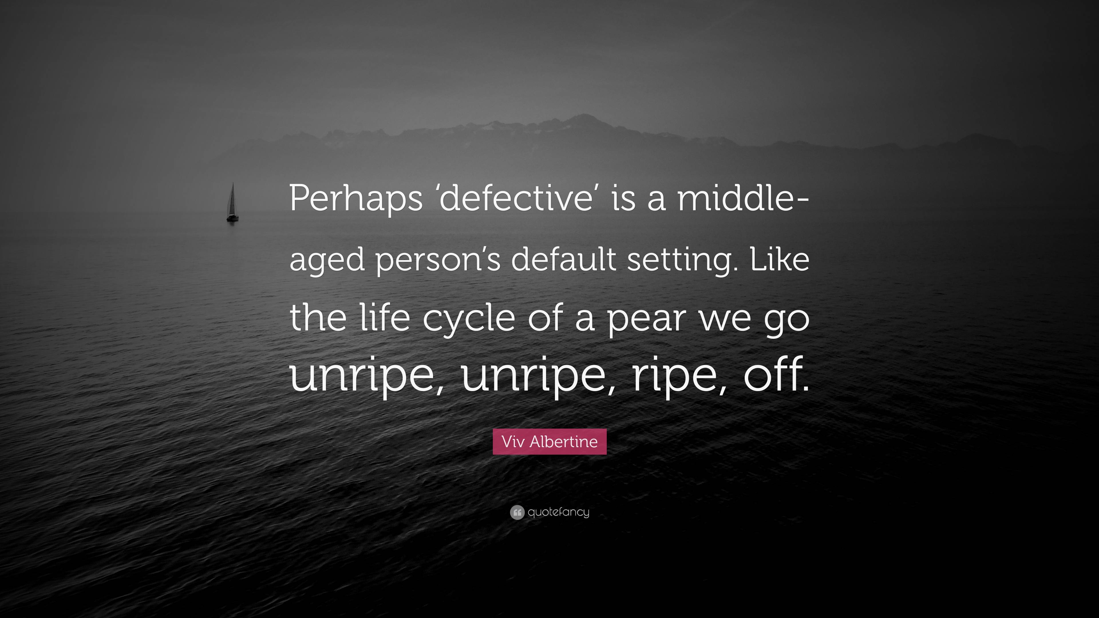 Viv Albertine Quote: “Perhaps ‘defective’ is a middle-aged person’s ...