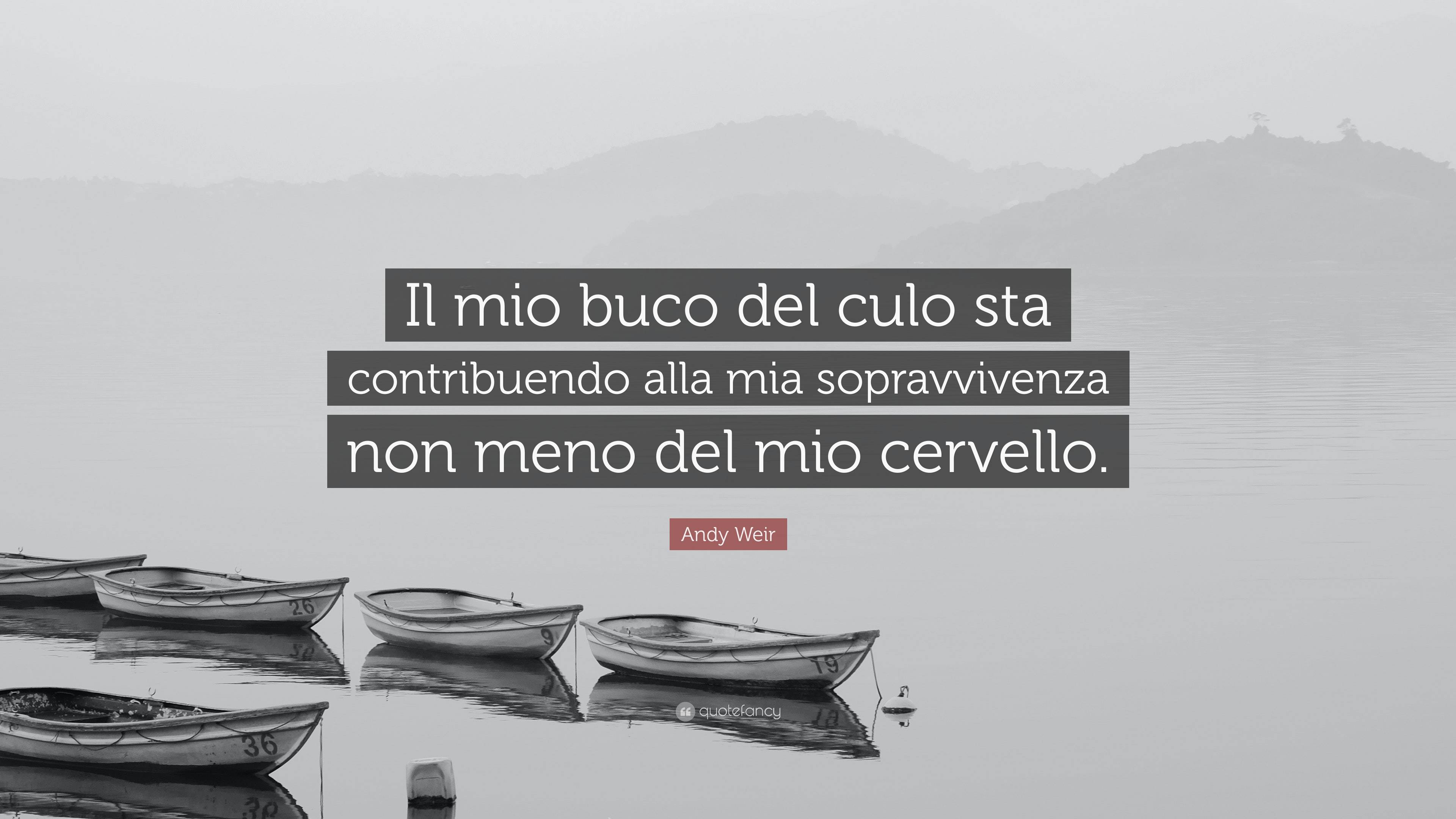 Andy Weir Quote: “Il mio buco del culo sta contribuendo alla mia  sopravvivenza non meno del