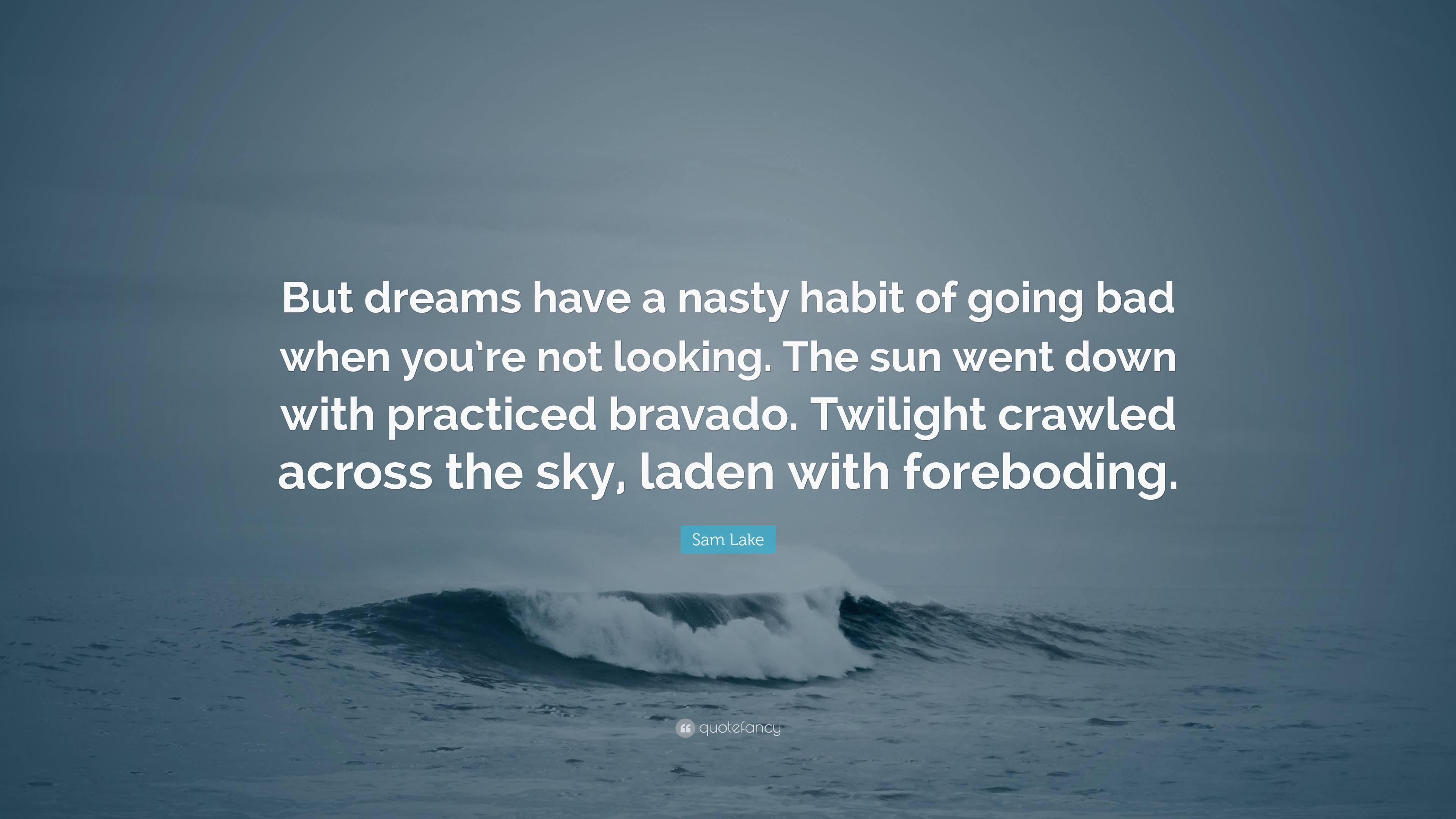 Sam Lake Quote: “But dreams have a nasty habit of going bad when