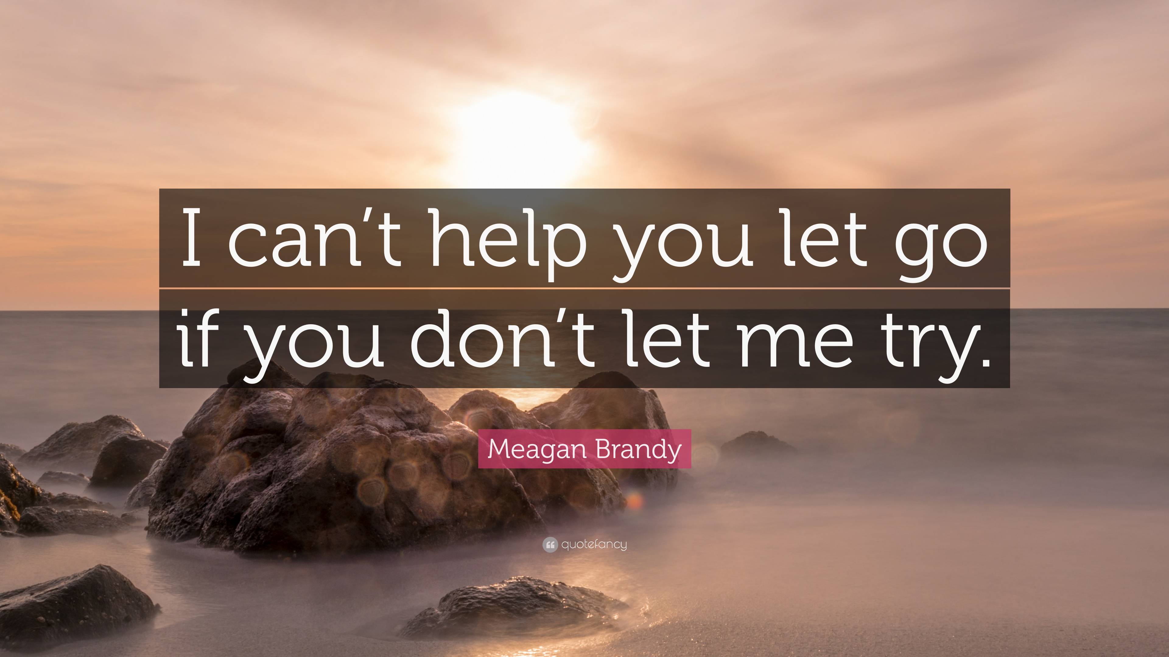 Meagan Brandy Quote: “I can’t help you let go if you don’t let me try.”