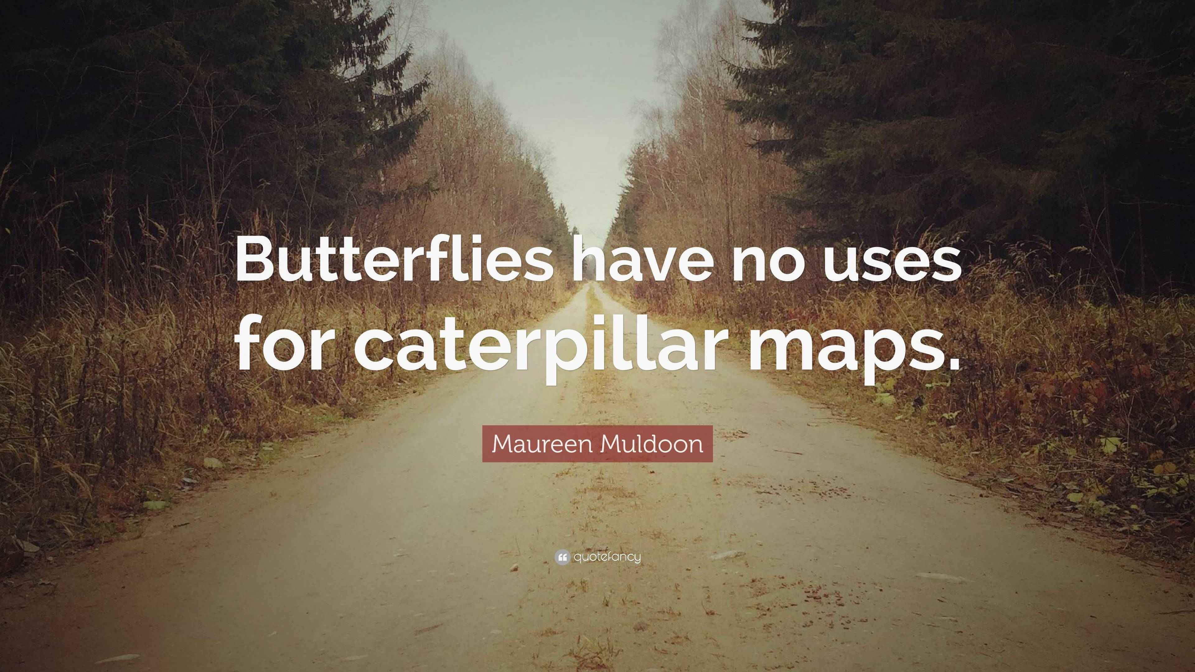 Maureen Muldoon Quote “Butterflies have no uses for caterpillar maps.”