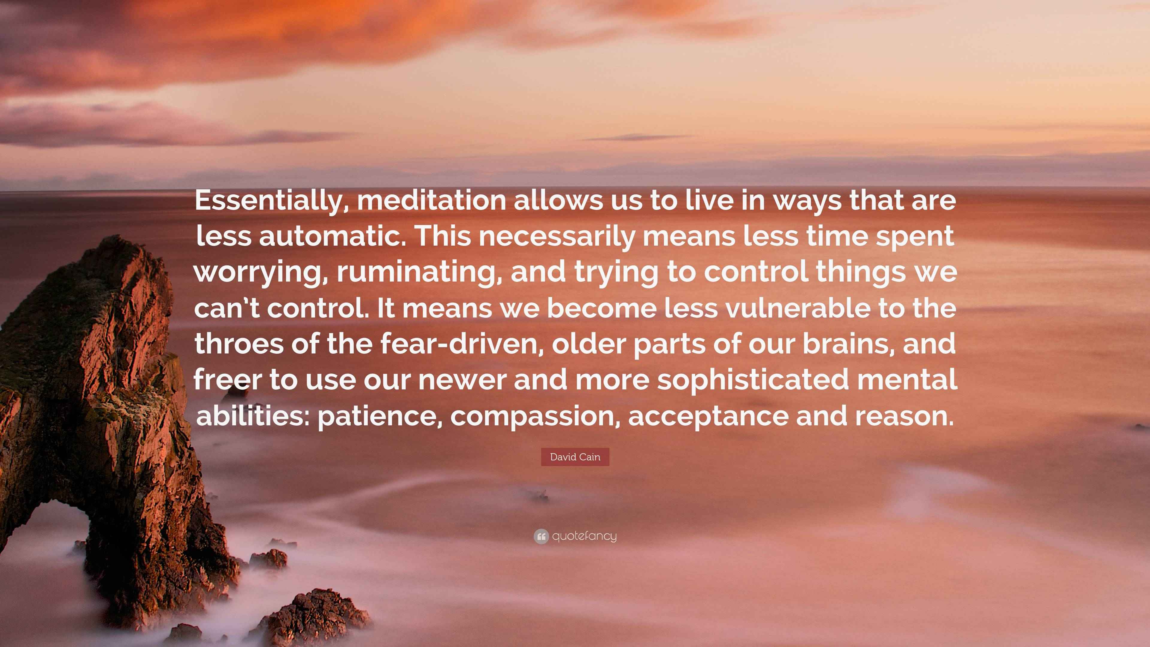 David Cain Quote “Essentially, meditation allows us to live in ways