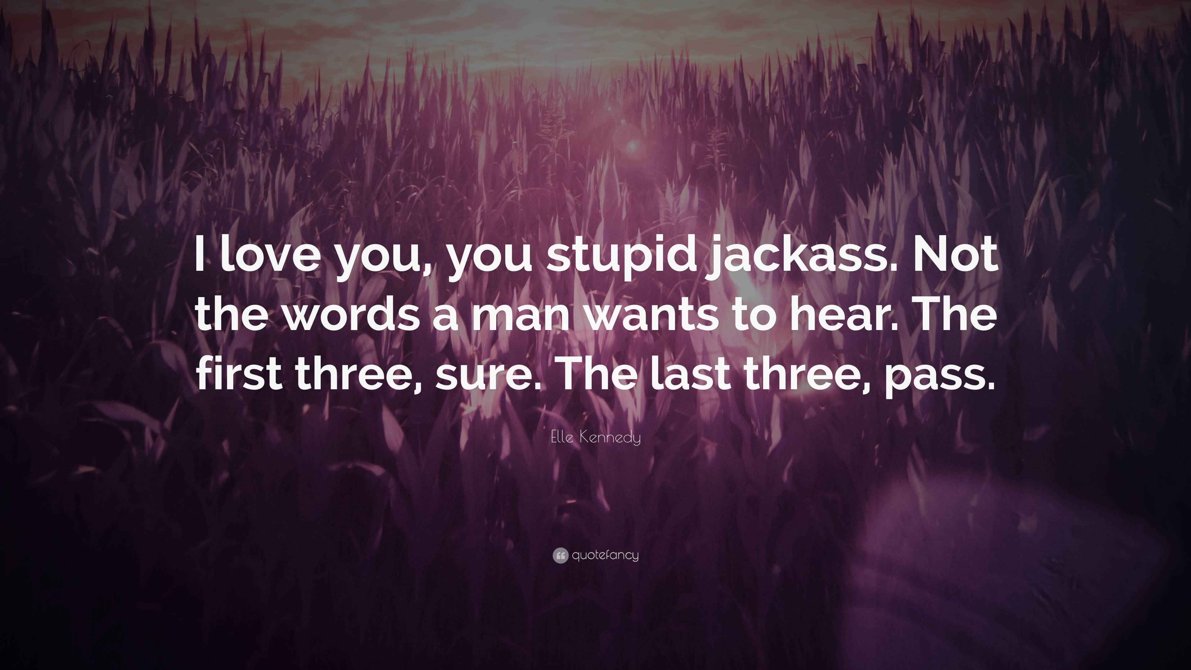 Elle Kennedy Quote: "I love you, you stupid jackass. Not the words a ...