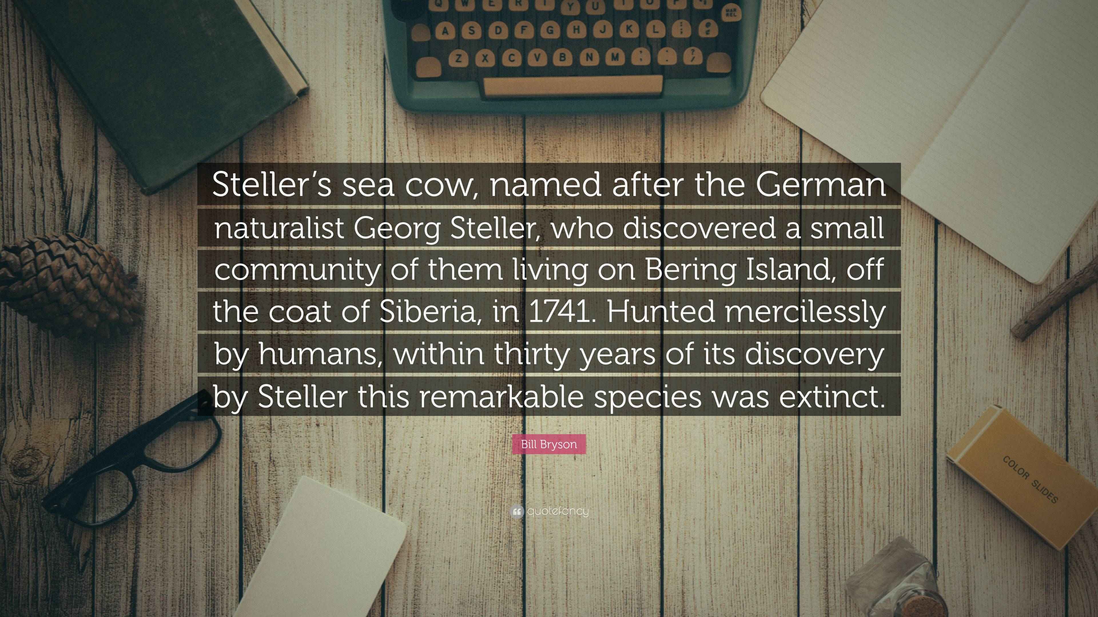 Bill Bryson Quote: “Steller’s sea cow, named after the German