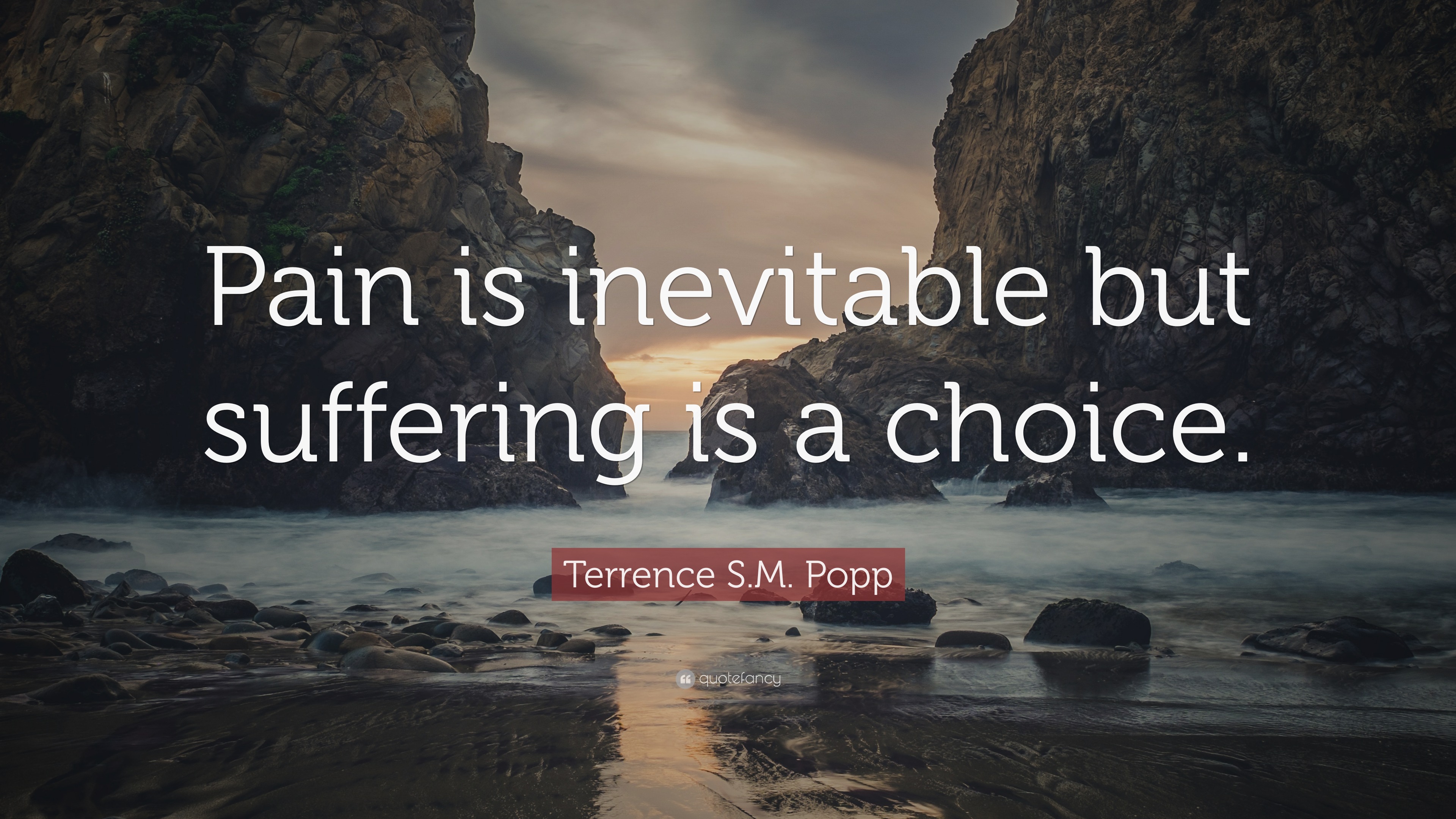 Terrence S.M. Popp Quote: “Pain Is Inevitable But Suffering Is A Choice.”