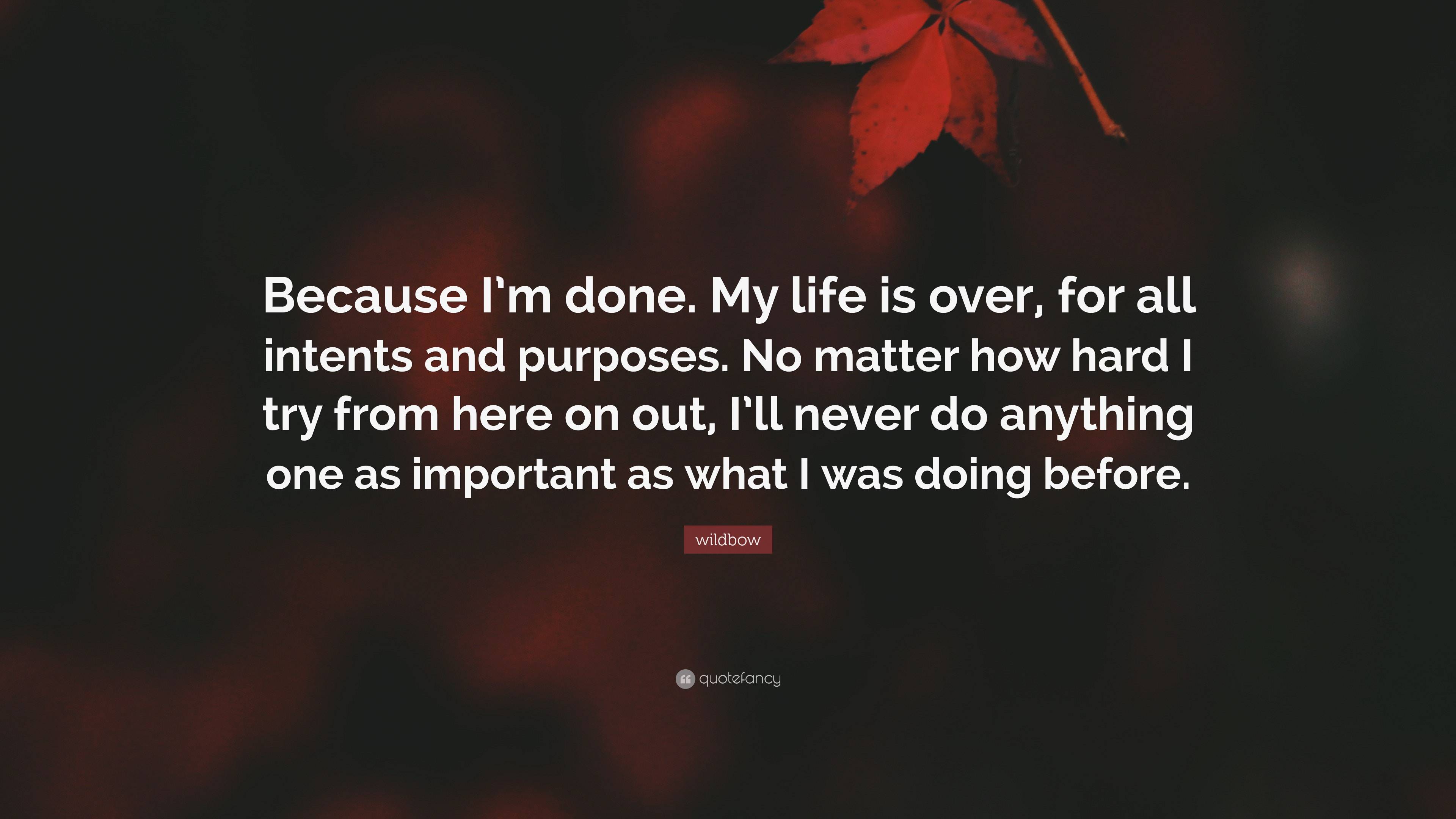 wildbow Quote: “Because I'm done. My life is over, for all intents and  purposes. No matter how hard I try from here on out, I'll never...”, image size:3840x2160