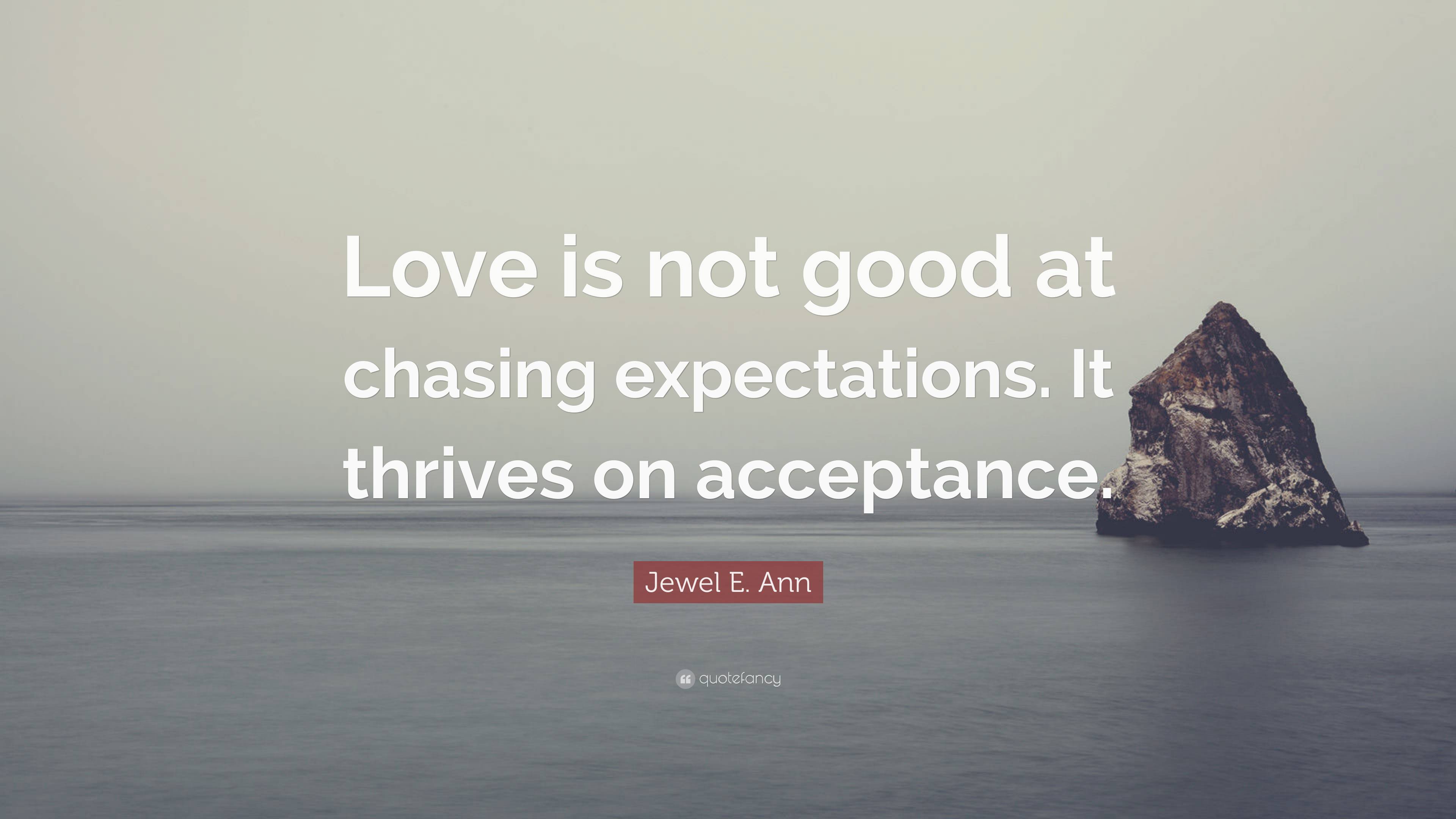 Jewel E. Ann Quote: “Love is not good at chasing expectations. It ...