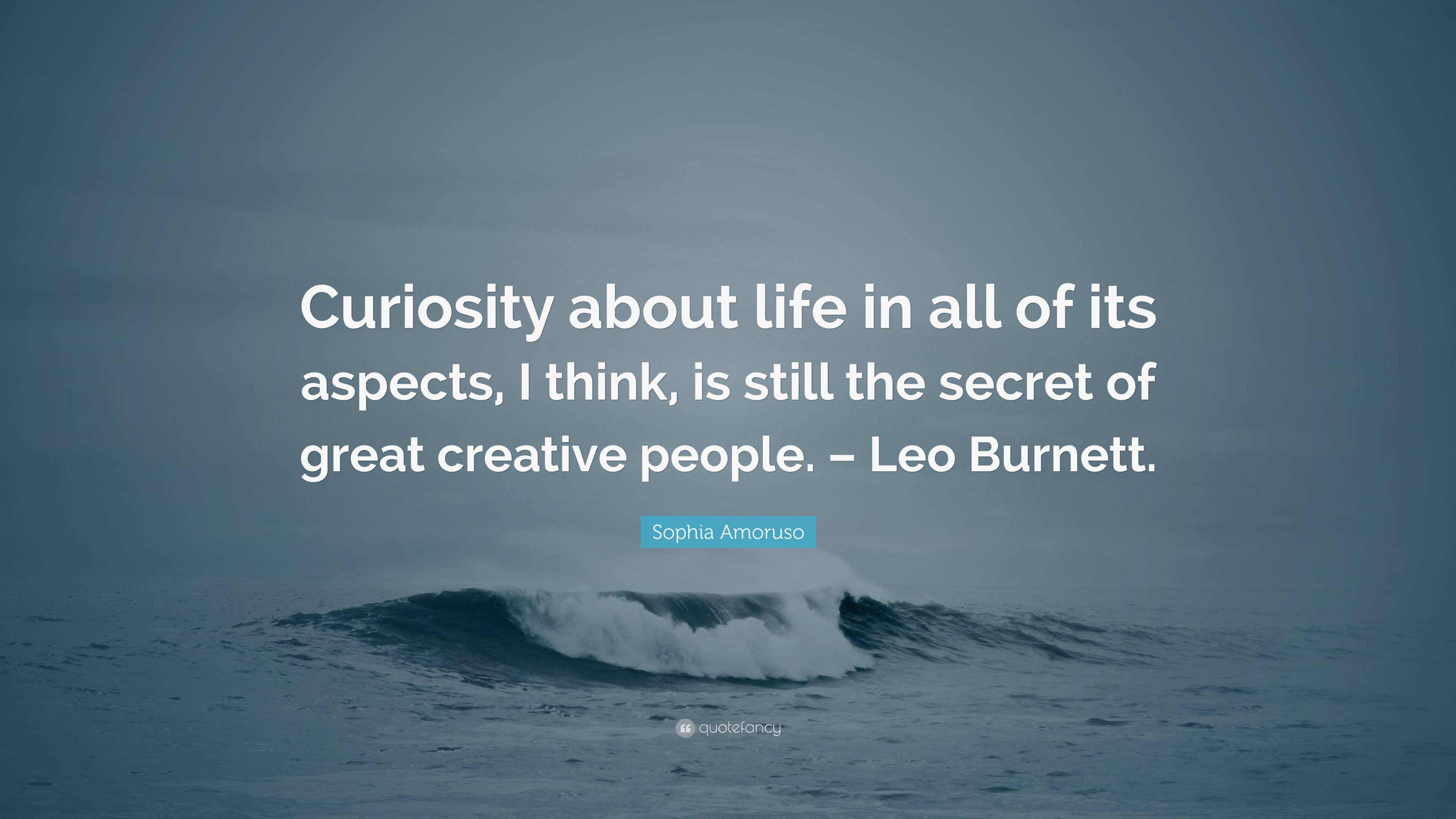 Sophia Amoruso Quote: “Curiosity about life in all of its aspects, I ...