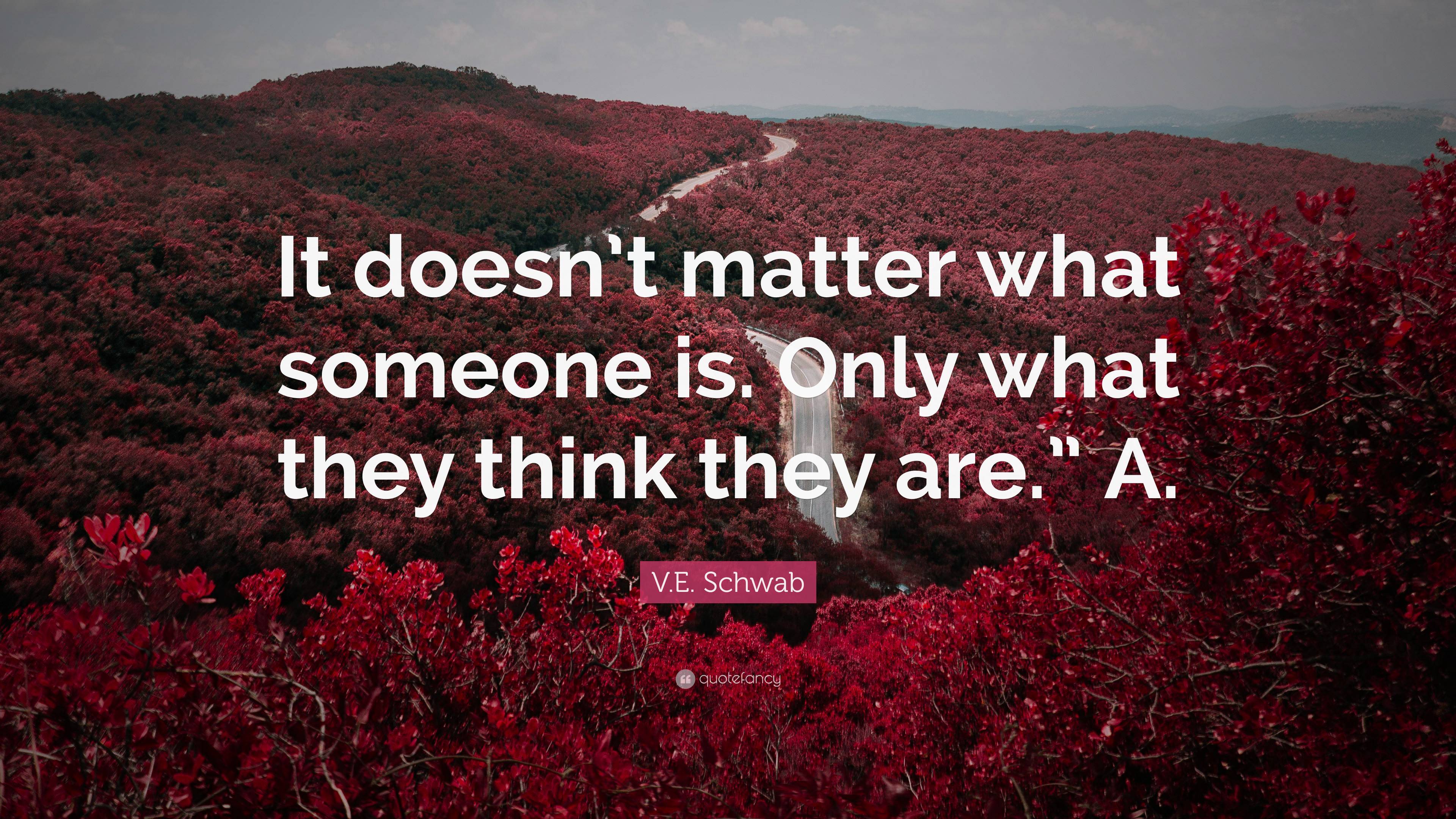 V.E. Schwab Quote: “It doesn’t matter what someone is. Only what they ...