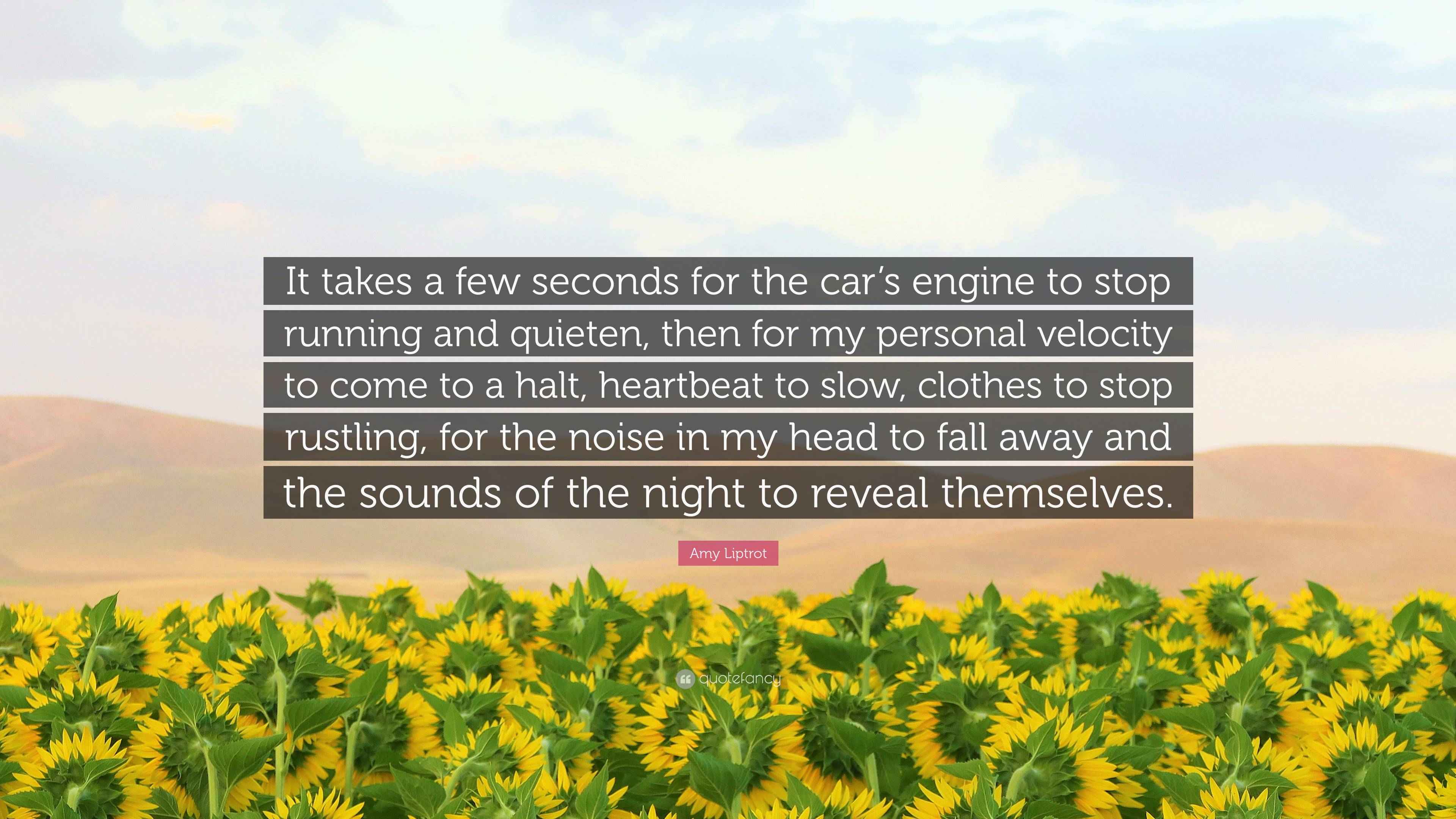 Amy Liptrot Quote: "It takes a few seconds for the car's engine to stop ...