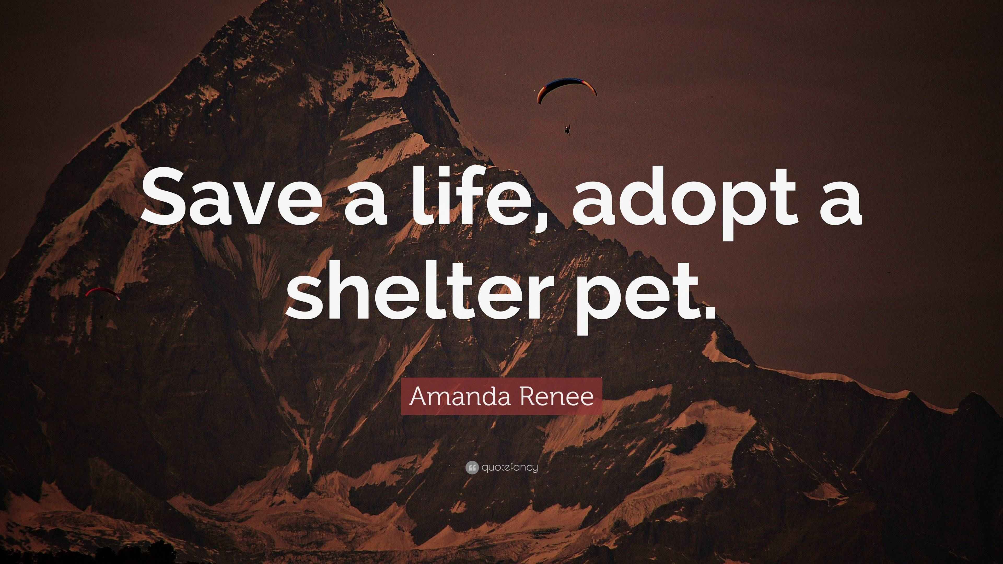 Amanda Renee Quote: “Save a life, adopt a shelter pet.”