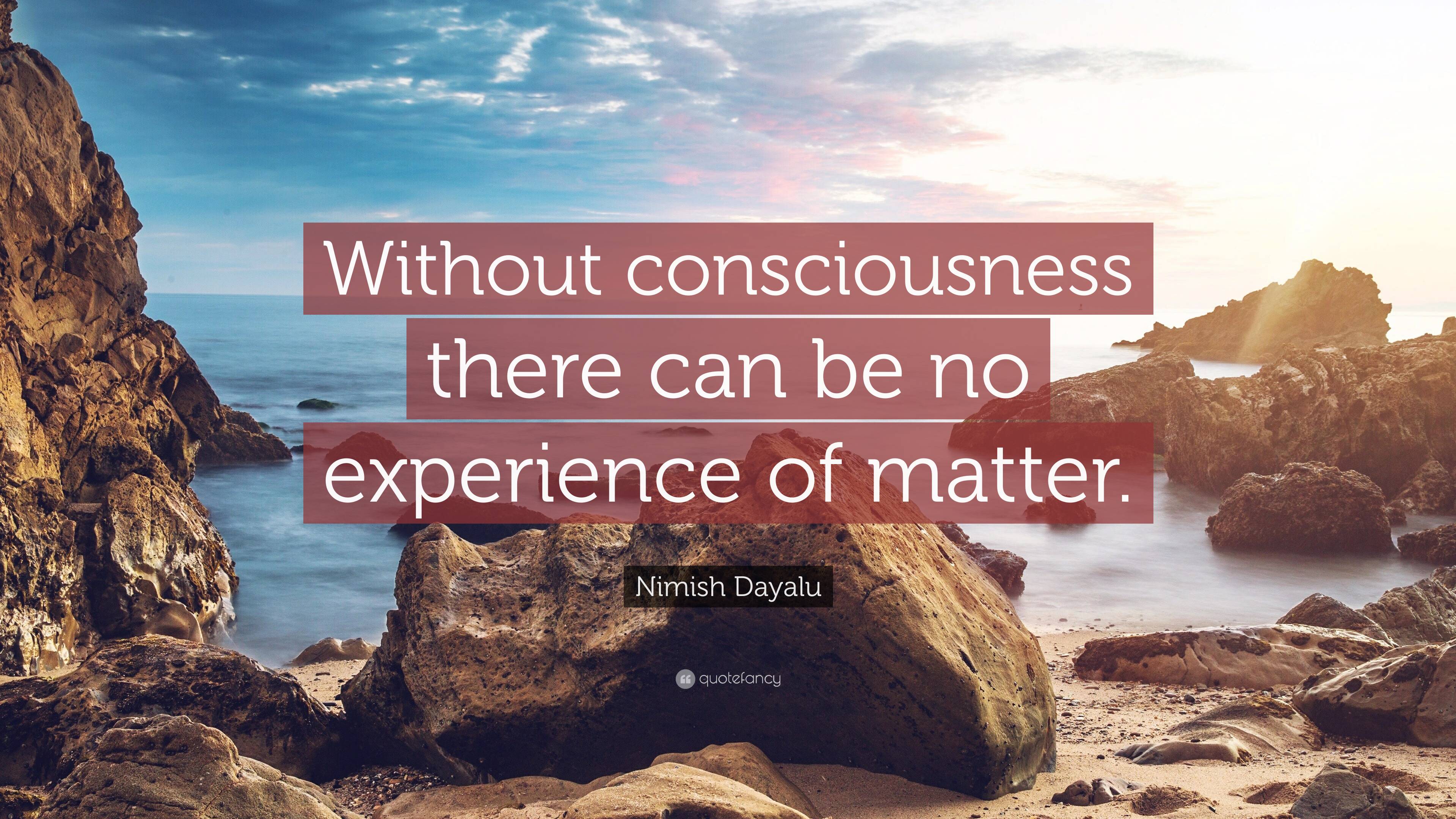 Nimish Dayalu Quote: “Without consciousness there can be no experience ...