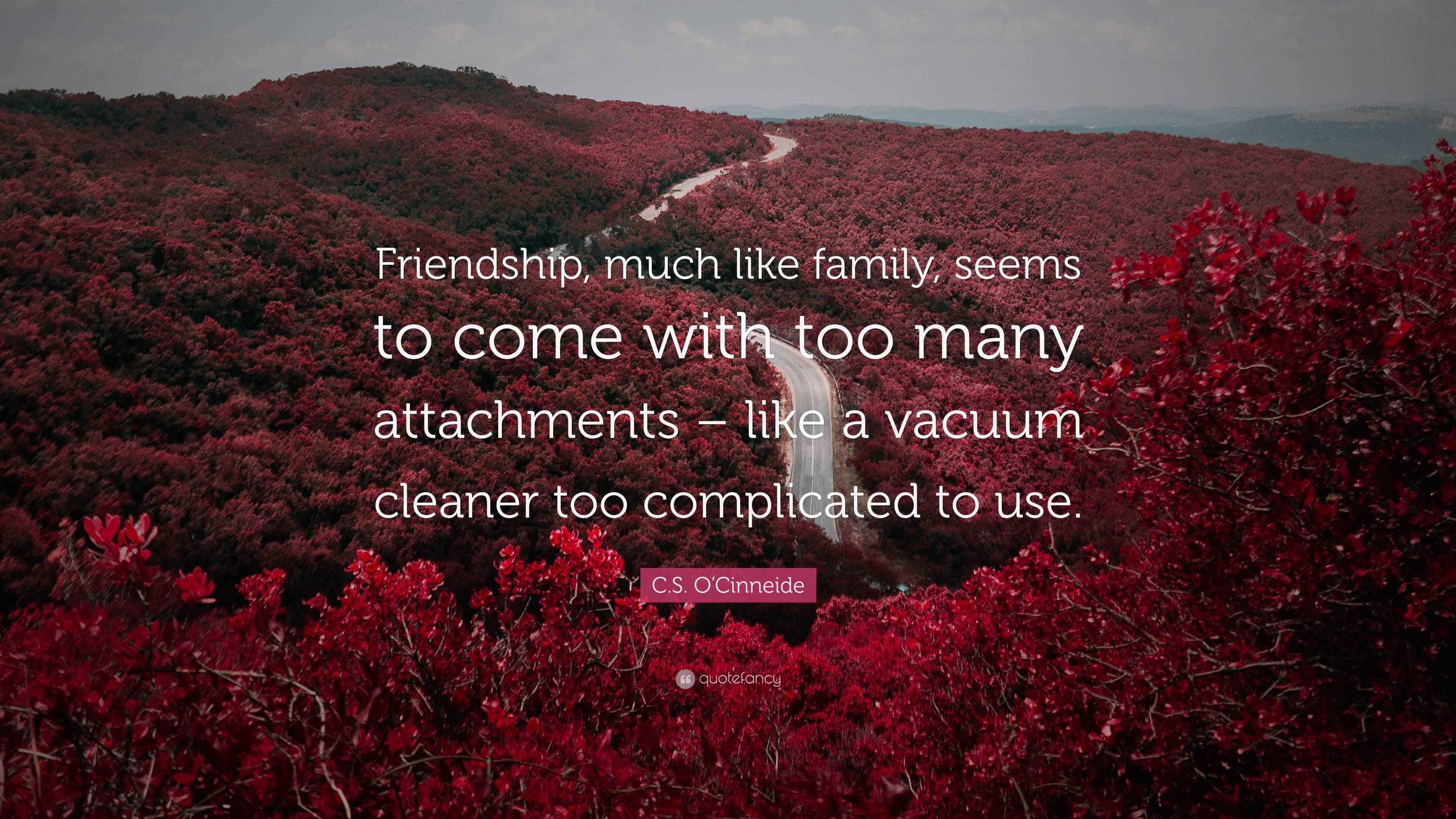 C.S. O'Cinneide Quote: “Friendship, much like family, seems to come with  too many attachments – like