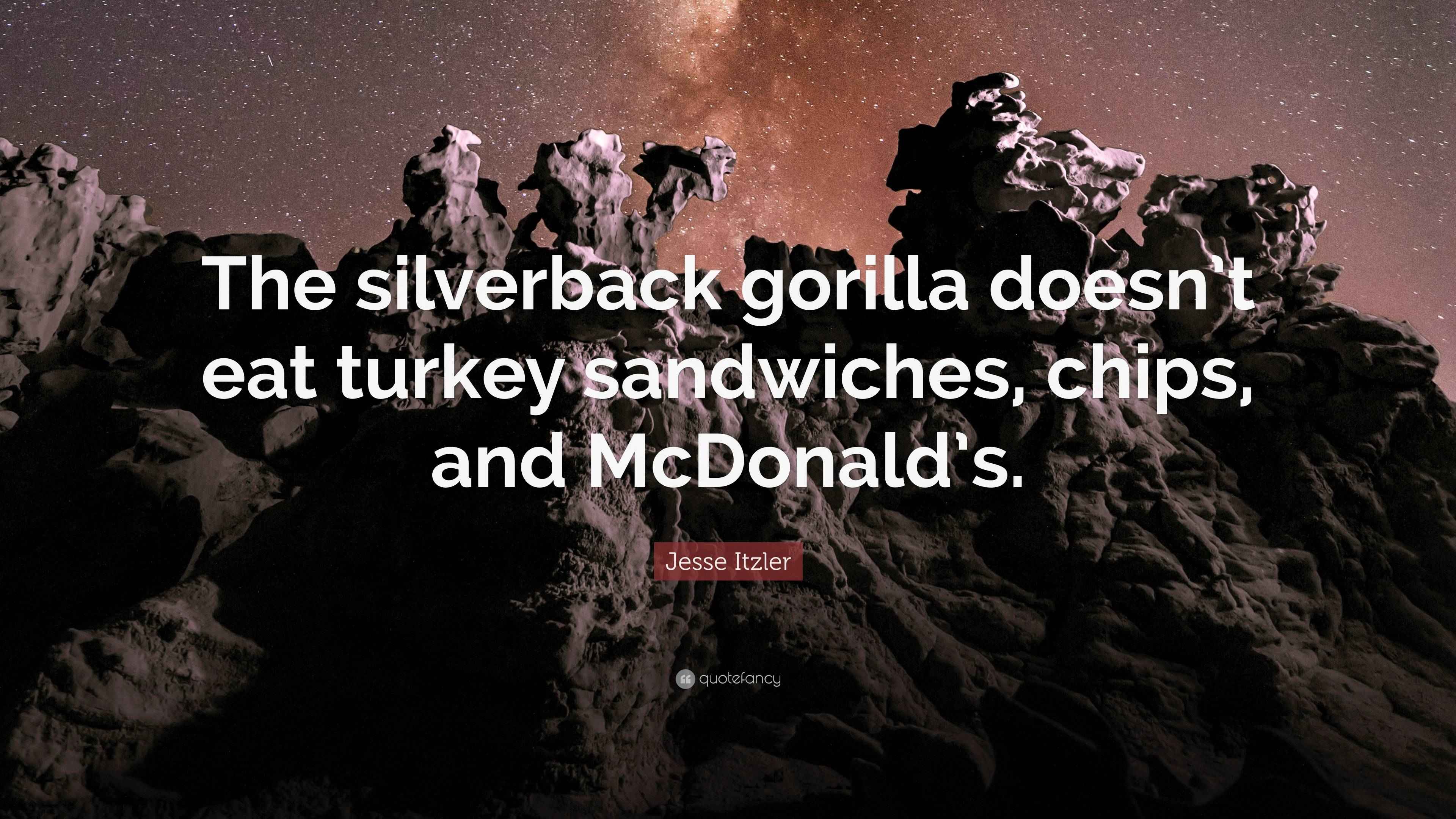 Jesse Itzler Quote: “The silverback gorilla doesn’t eat turkey