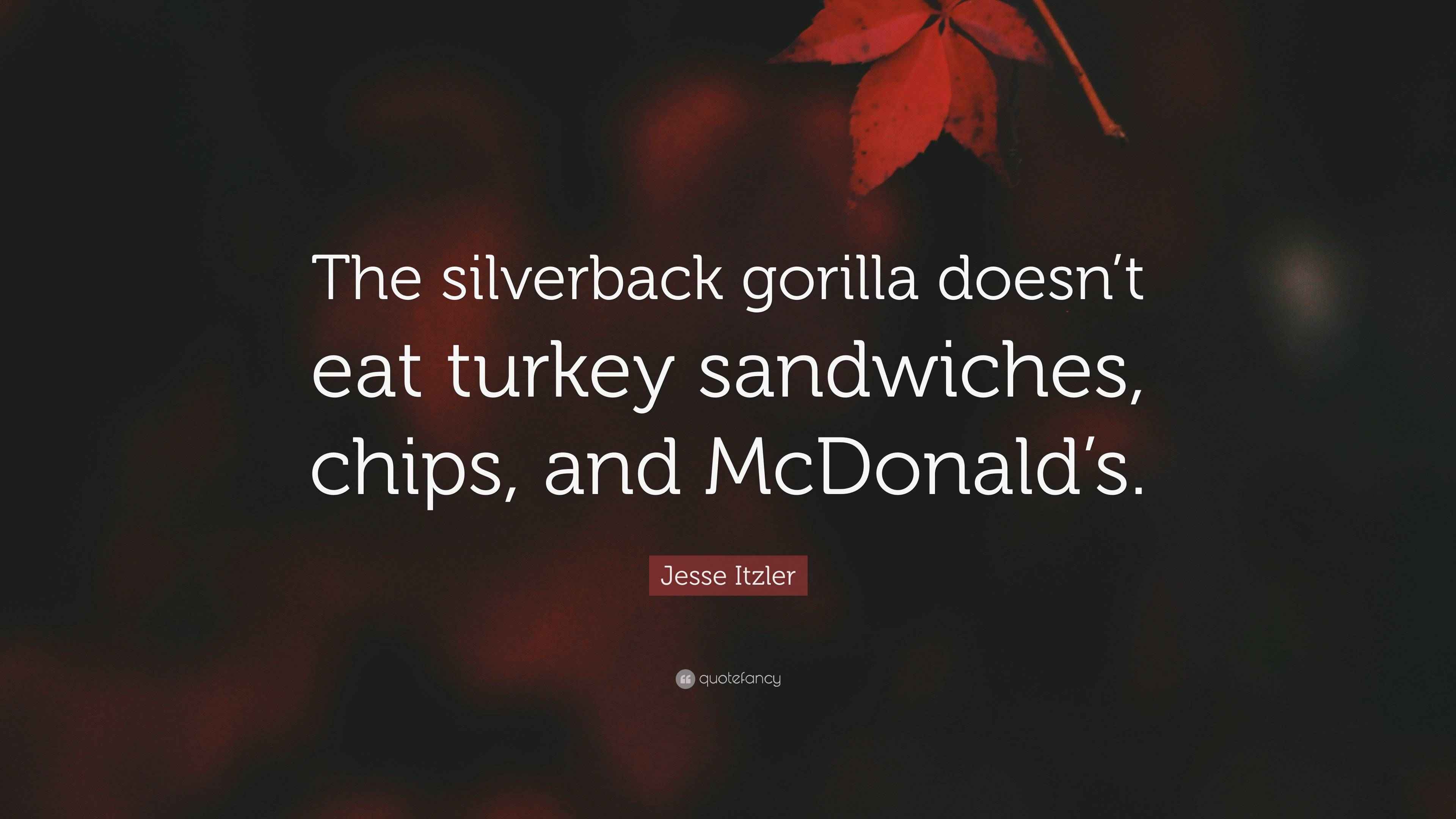 Jesse Itzler Quote: “The silverback gorilla doesn’t eat turkey