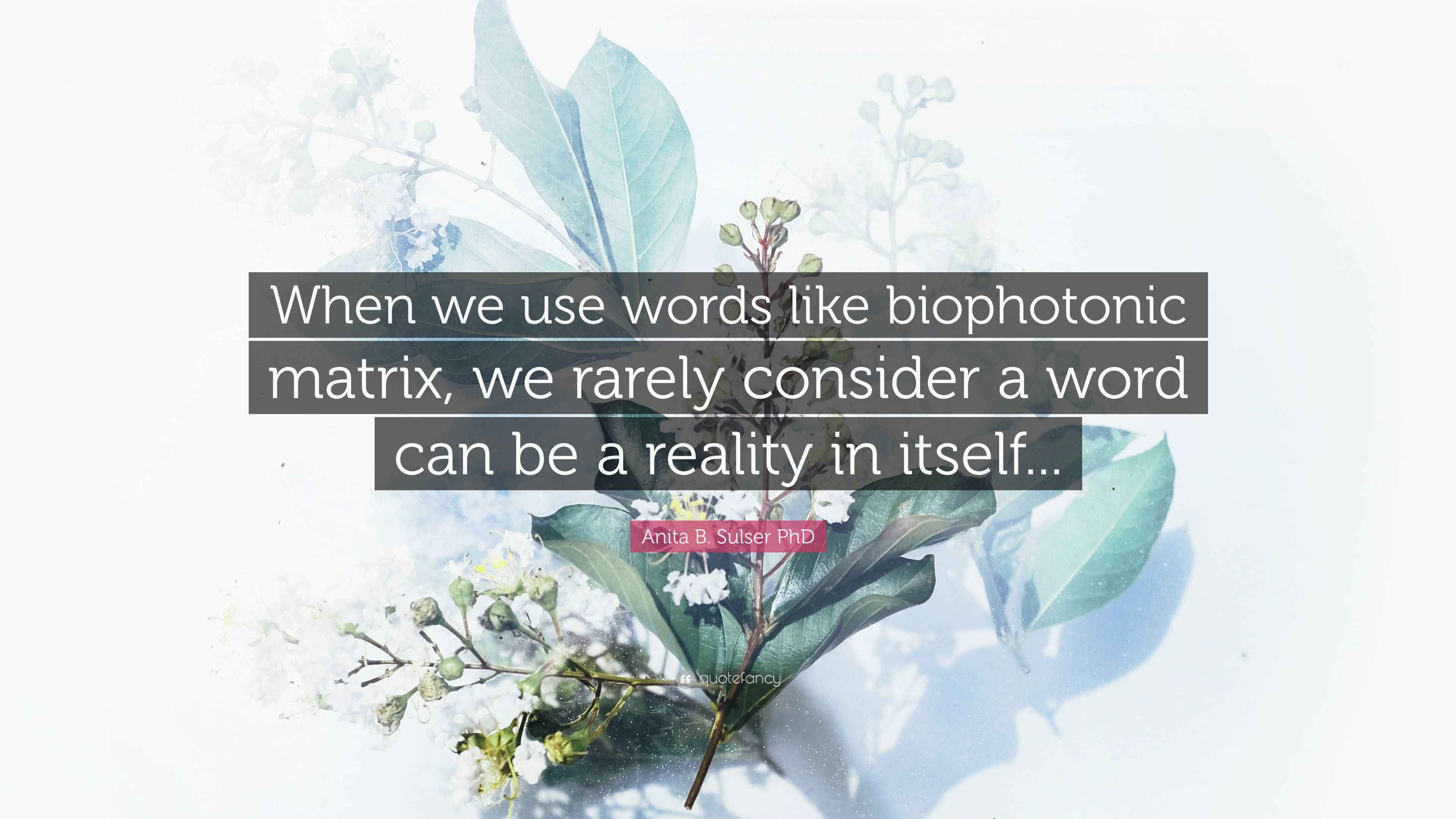 Anita B. Sulser PhD Quote “When we use words like biophotonic matrix