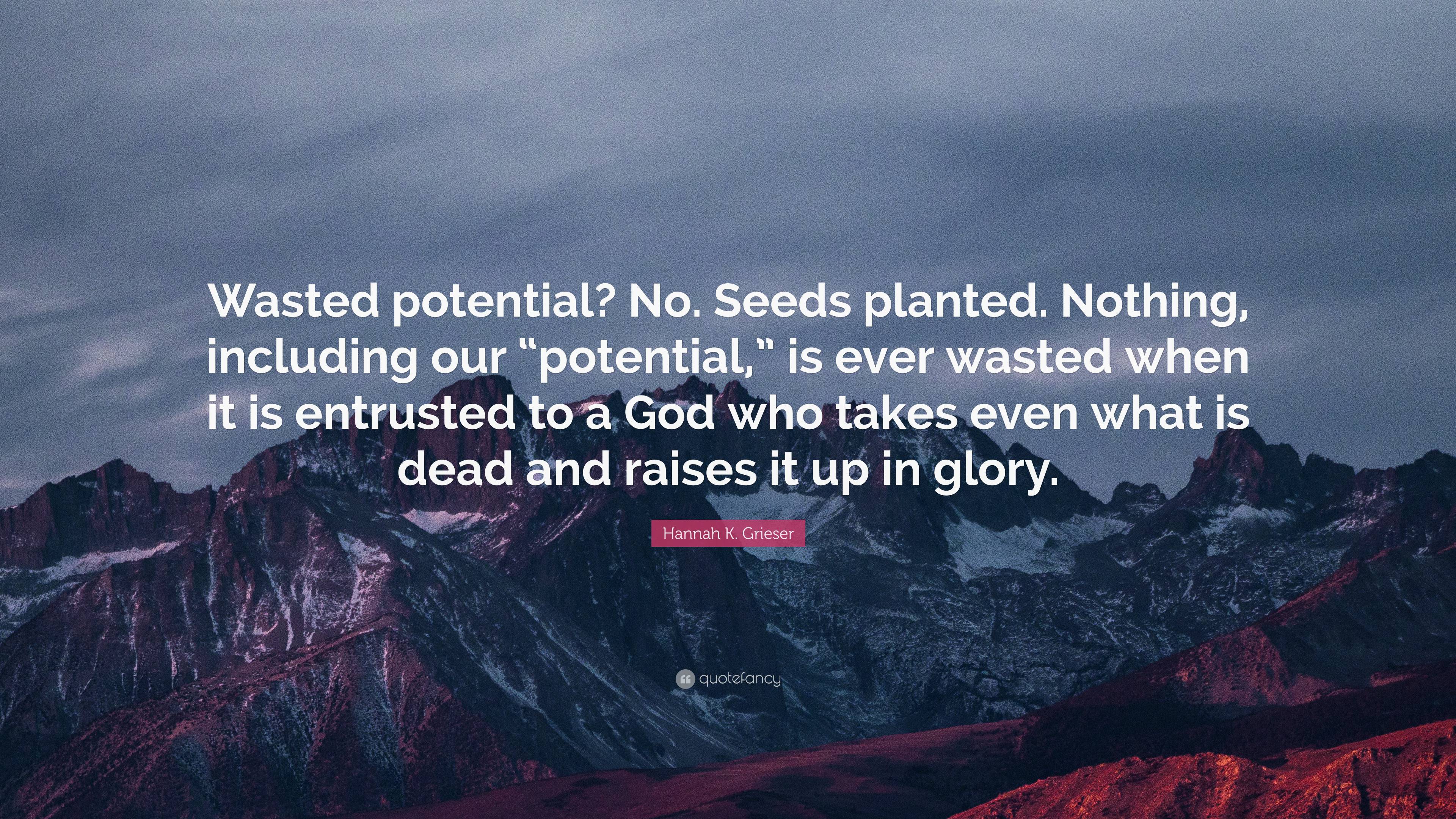 Hannah K. Grieser Quote: “Wasted potential? No. Seeds planted. Nothing ...