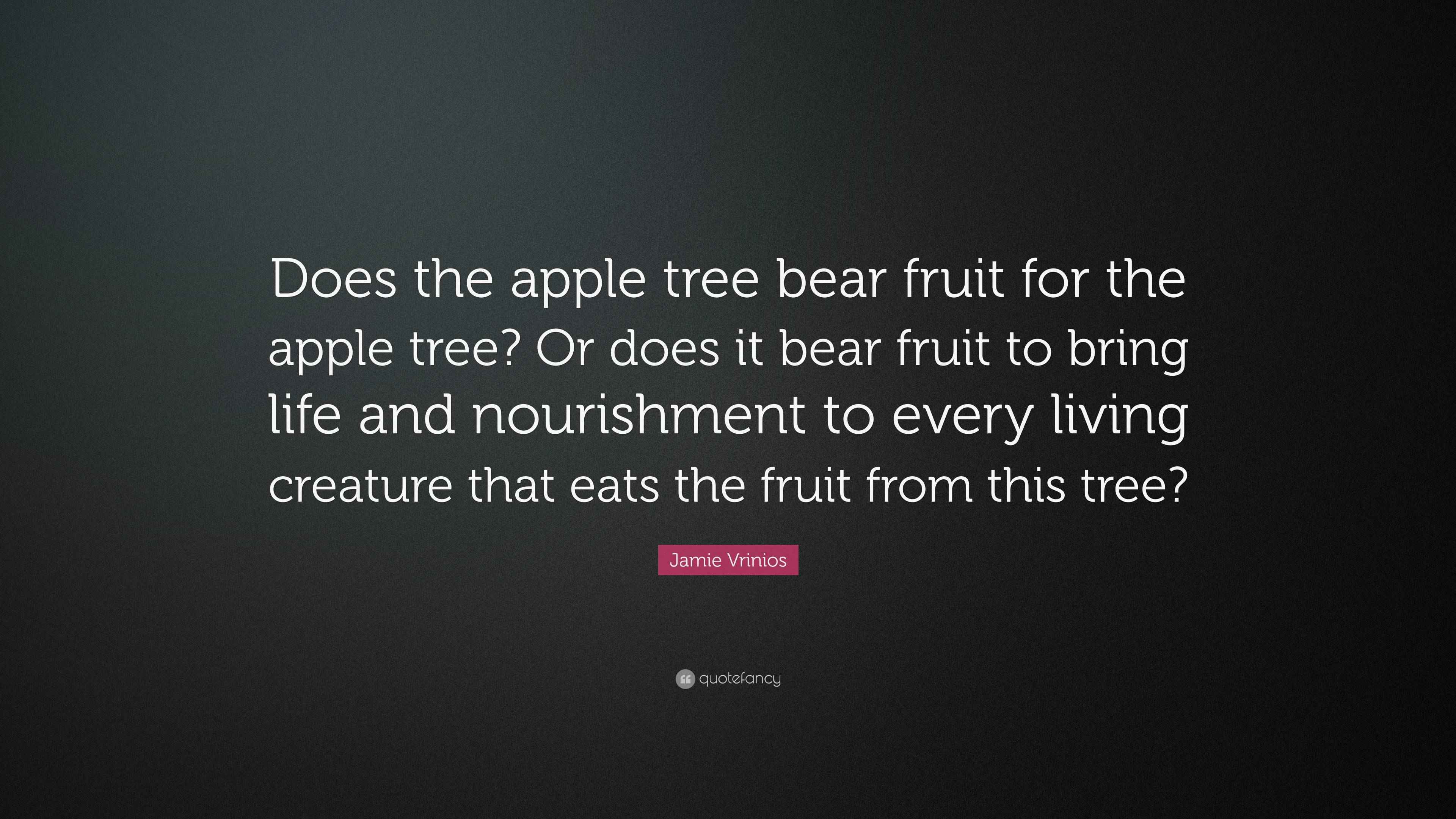 Jamie Vrinios Quote “Does the apple tree bear fruit for the apple tree
