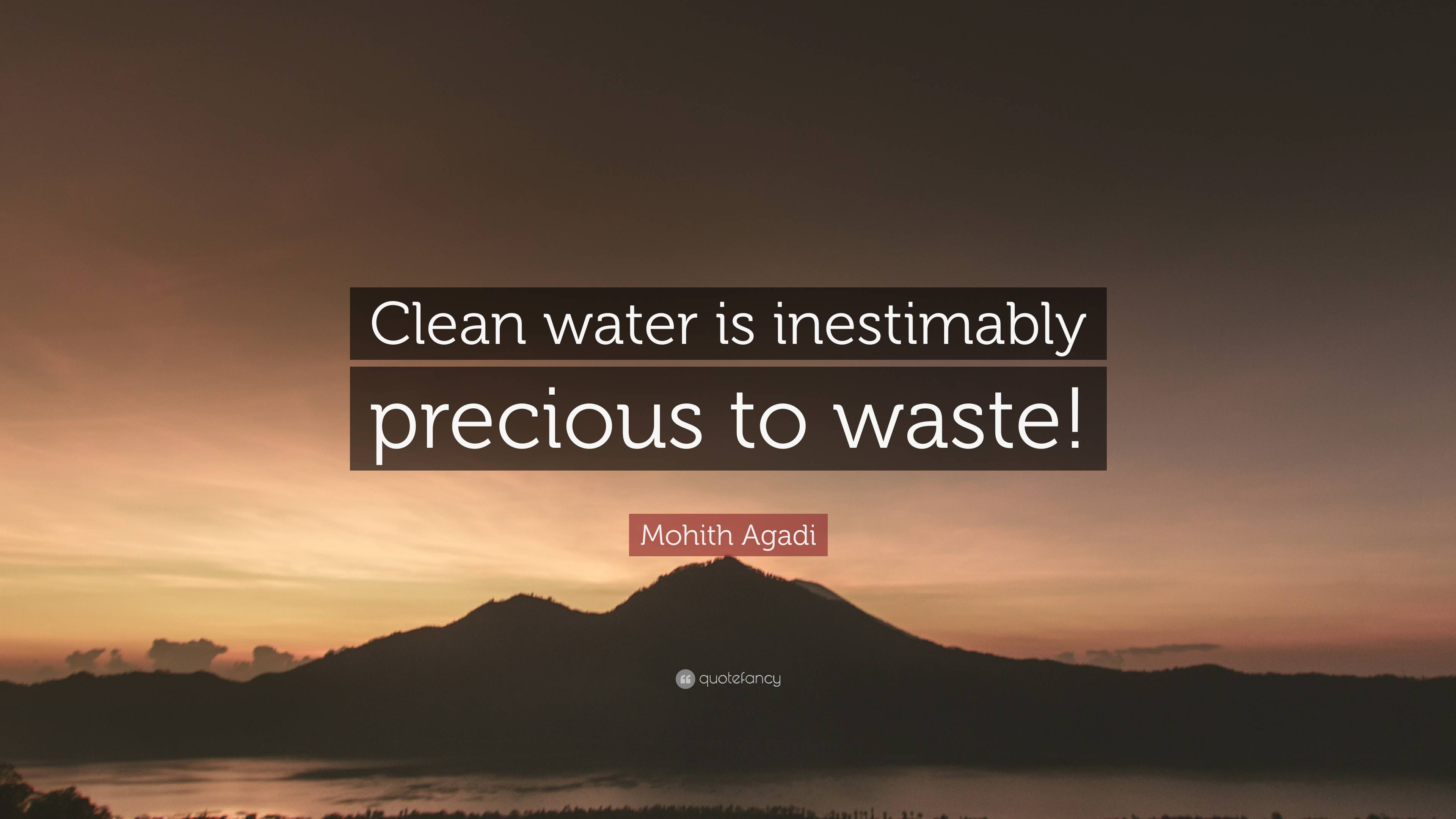 Mohith Agadi Quote: “Clean water is inestimably precious to waste!”