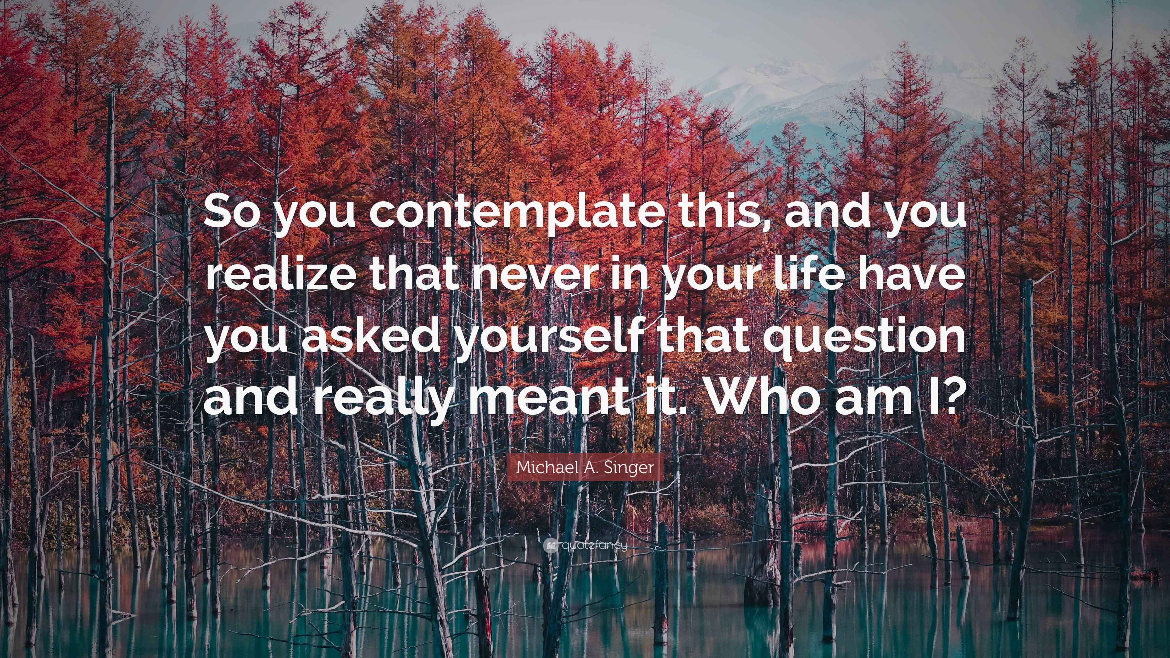 Michael A. Singer Quote: “So you contemplate this, and you realize that ...