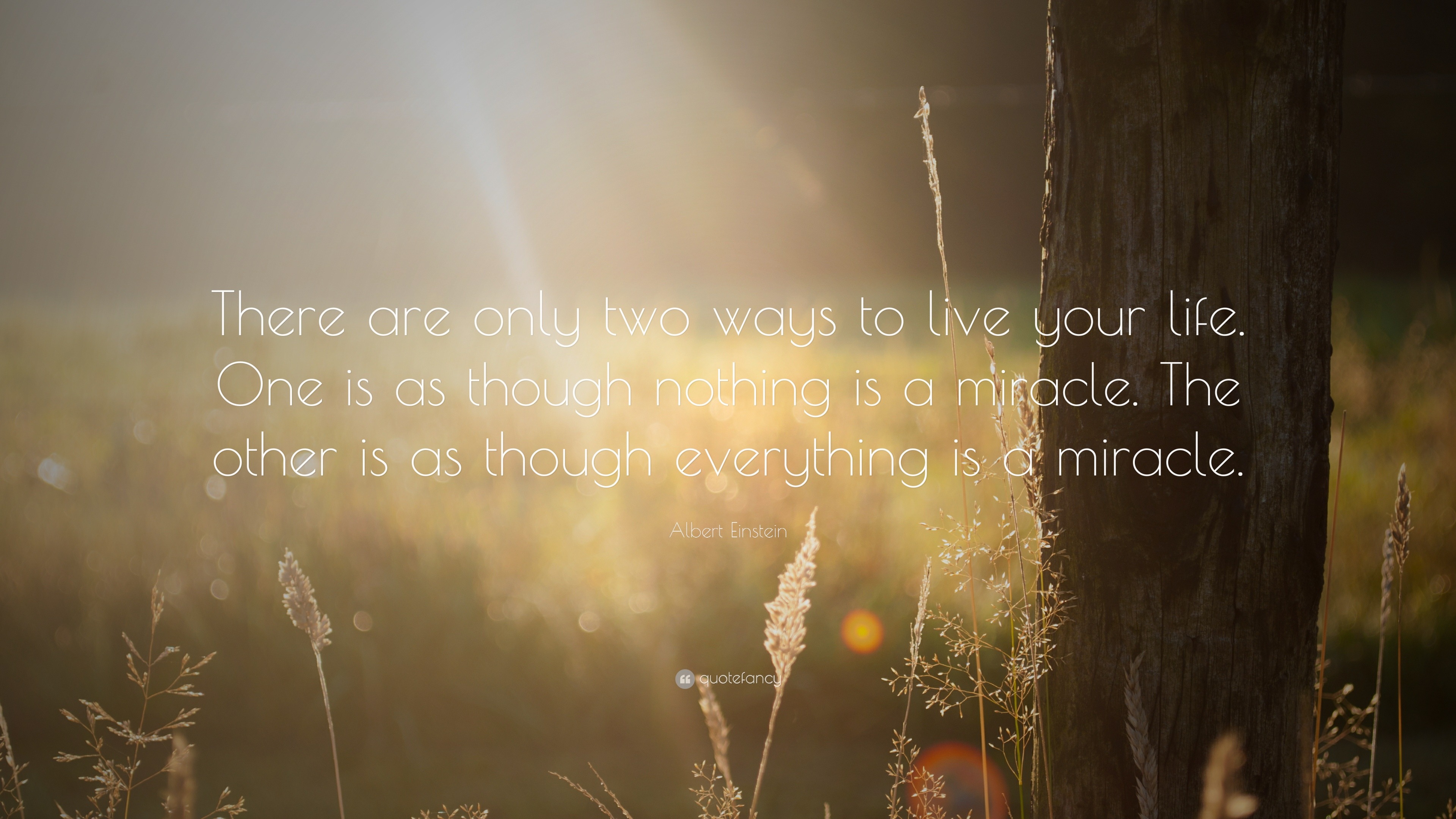 Albert Einstein Quote: “There are only two ways to live your life