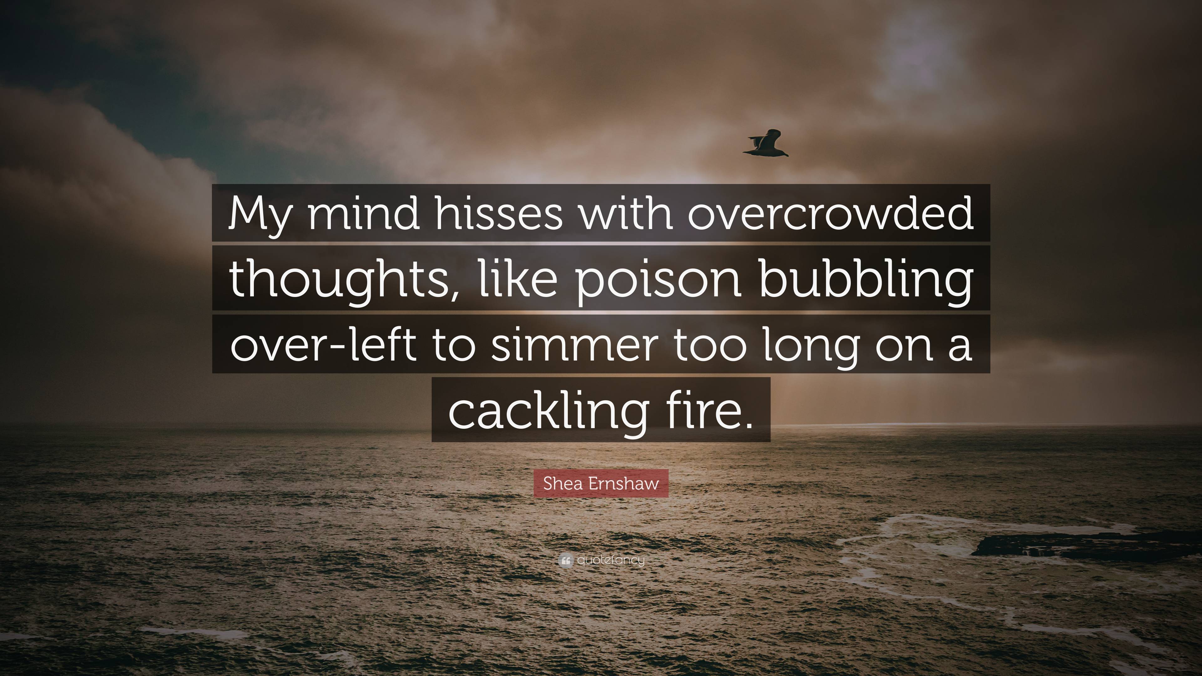 https://quotefancy.com/media/wallpaper/3840x2160/7682504-Shea-Ernshaw-Quote-My-mind-hisses-with-overcrowded-thoughts-like.jpg