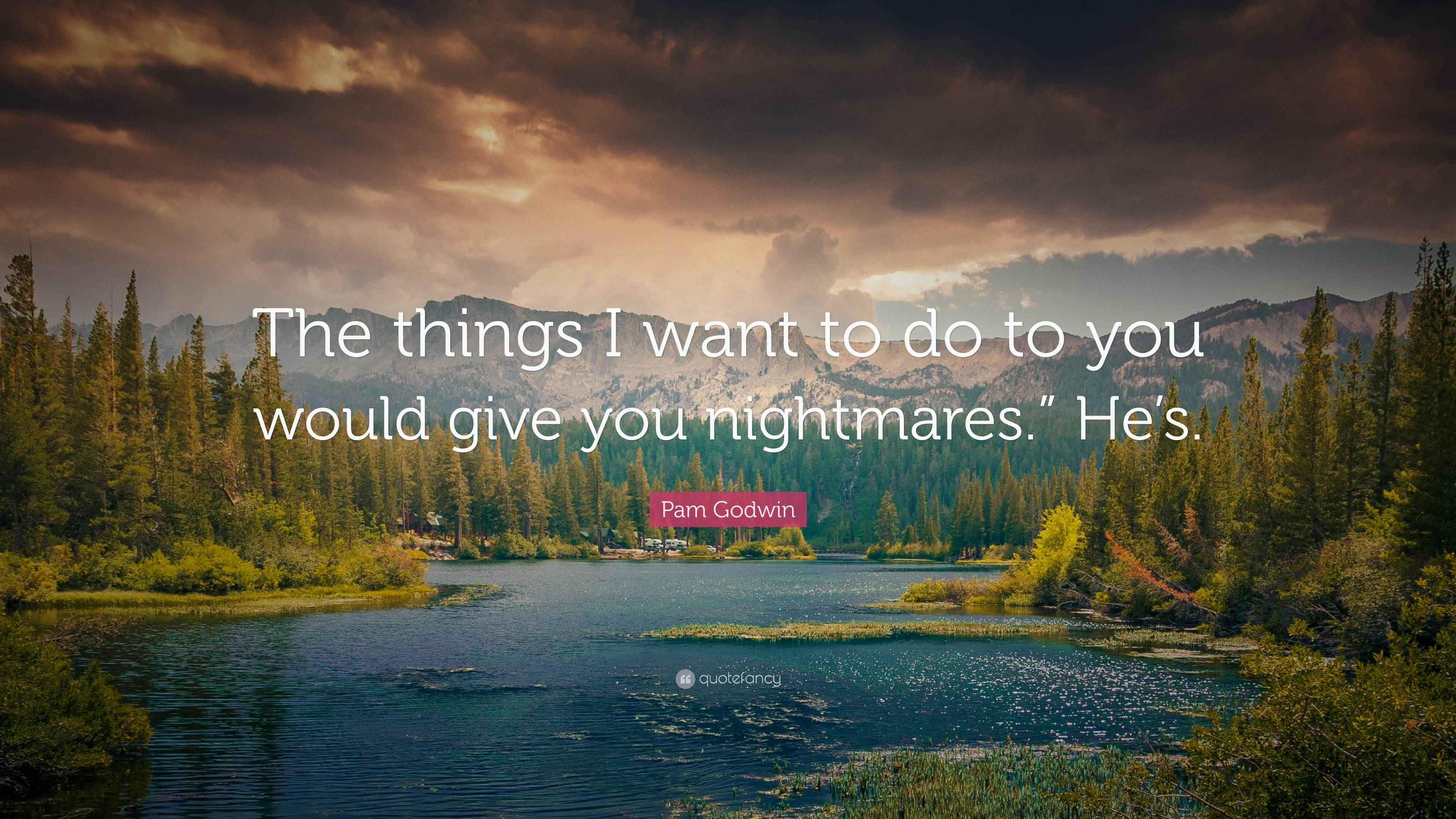 Pam Godwin Quote: “The things I want to do to you would give you