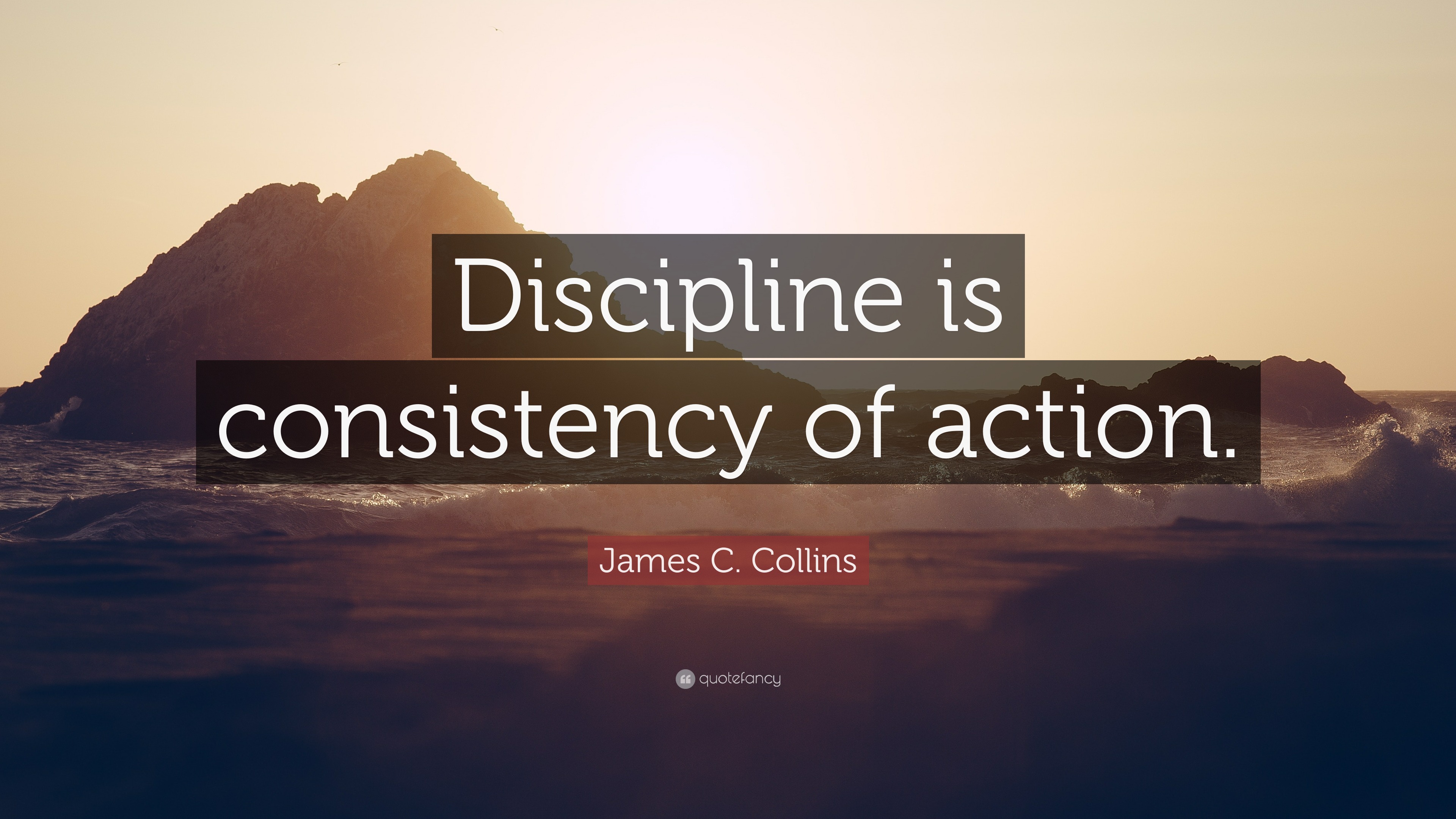 James C. Collins Quote: “Discipline is consistency of action.”
