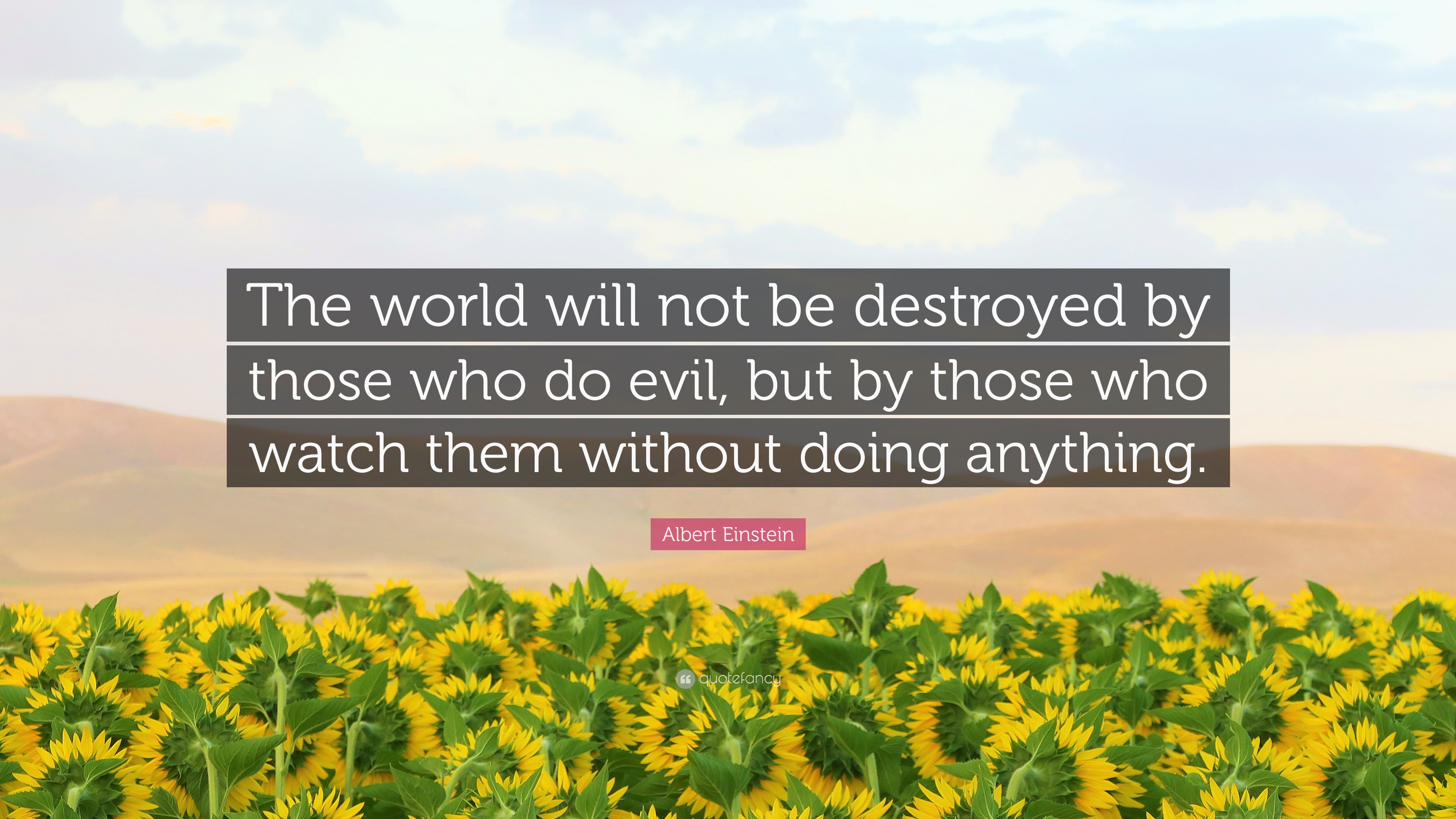 the world will not be destroyed by those who do evil