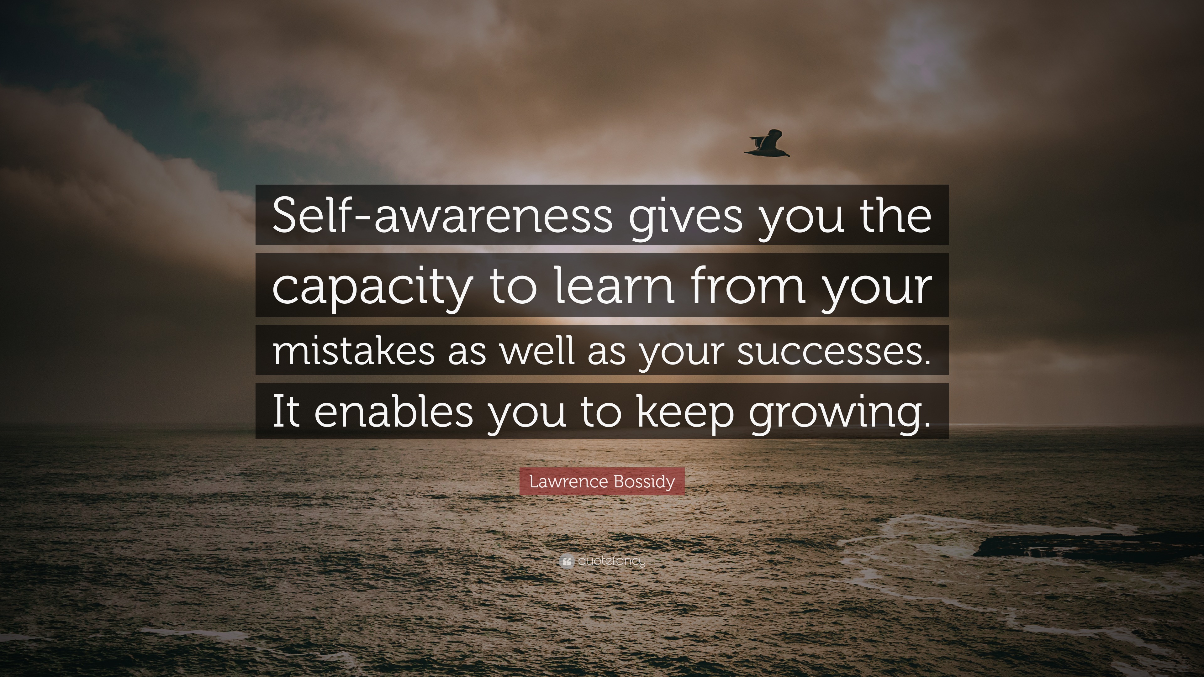 Lawrence Bossidy Quote: “Self-awareness gives you the capacity to learn ...