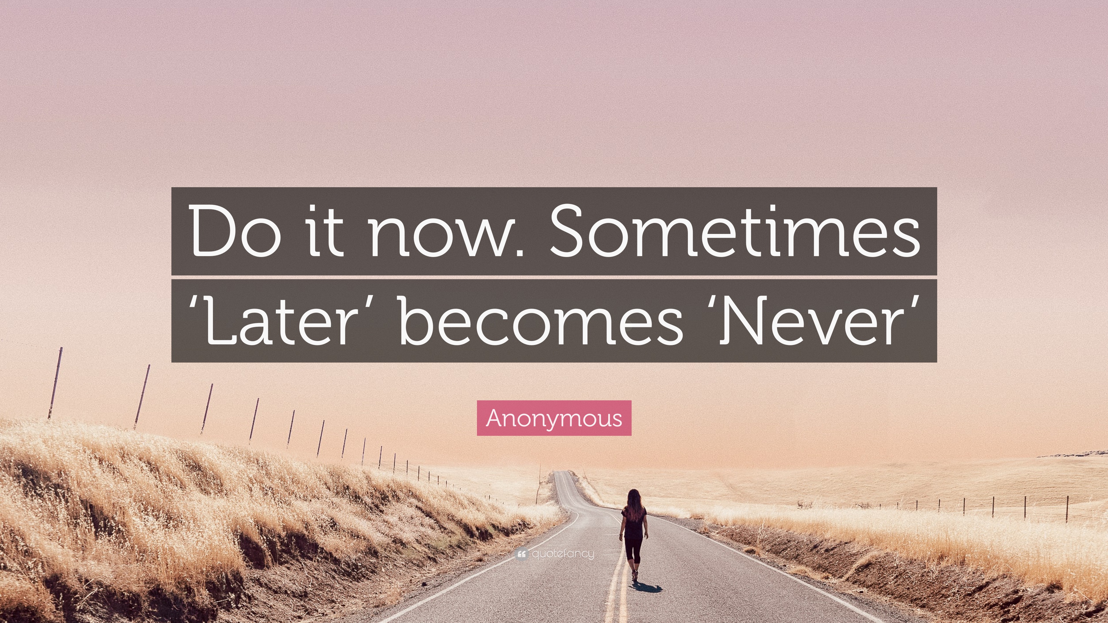 Anonymous Quote “Do it now. Sometimes ‘Later’ ‘Never’”